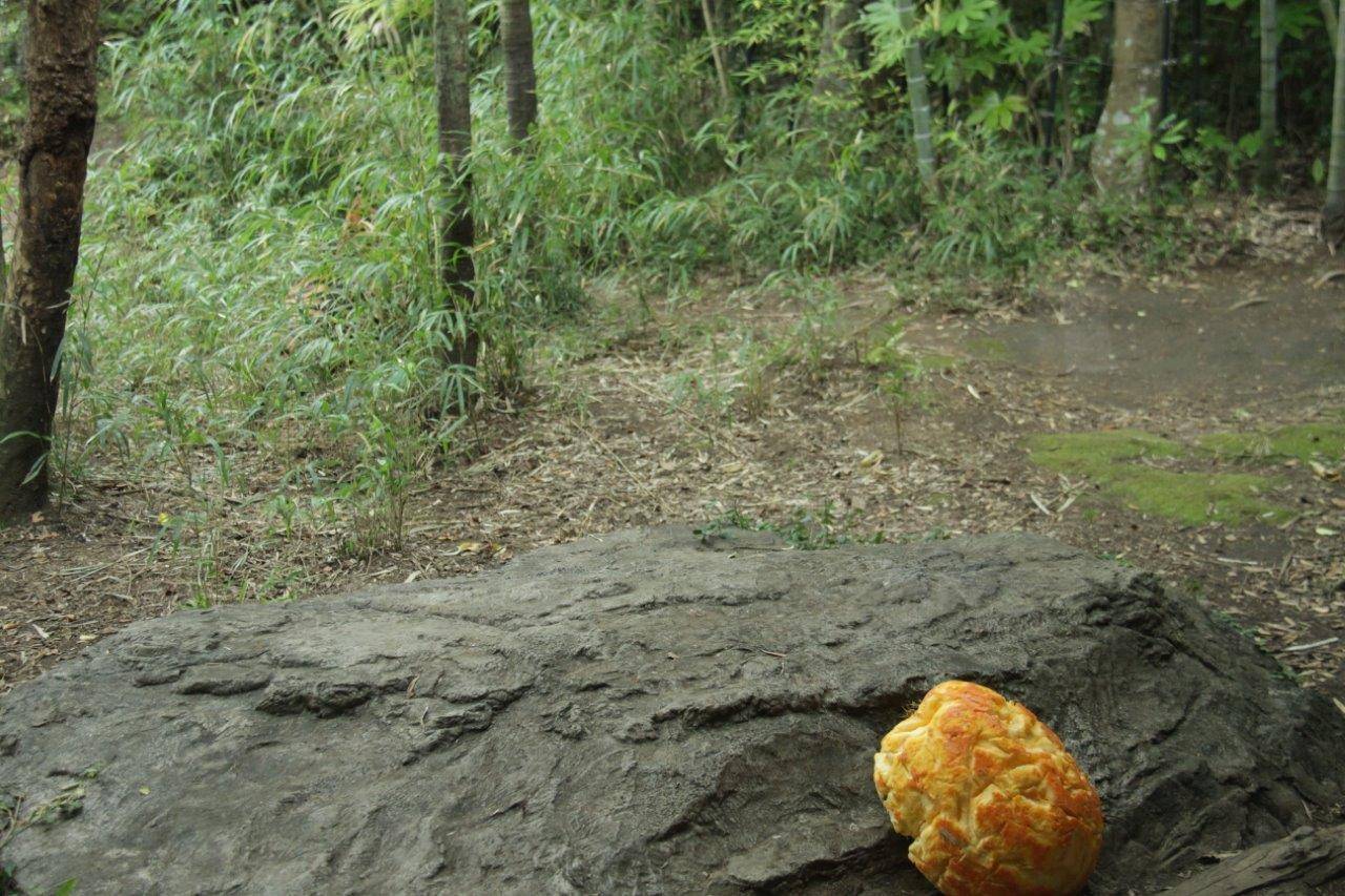 ハロウィン用カボチャから離れた場所で休むデル