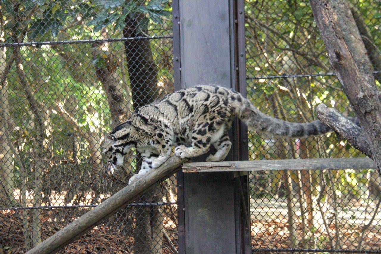 スロープを降りかけるアニル