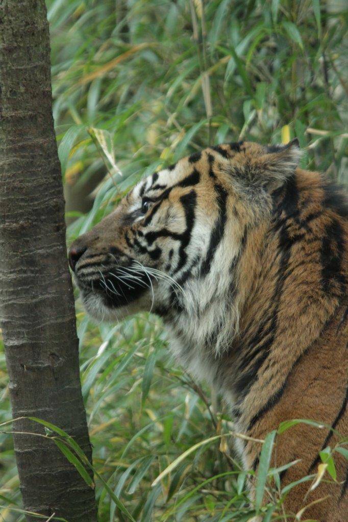 真剣な表情で残り香をチェックするガンター