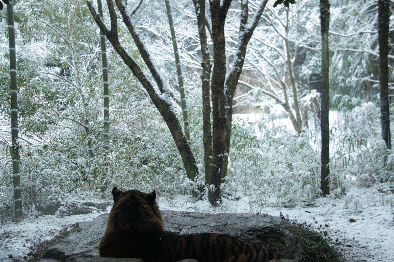 ガラスビュー前で休むガンター