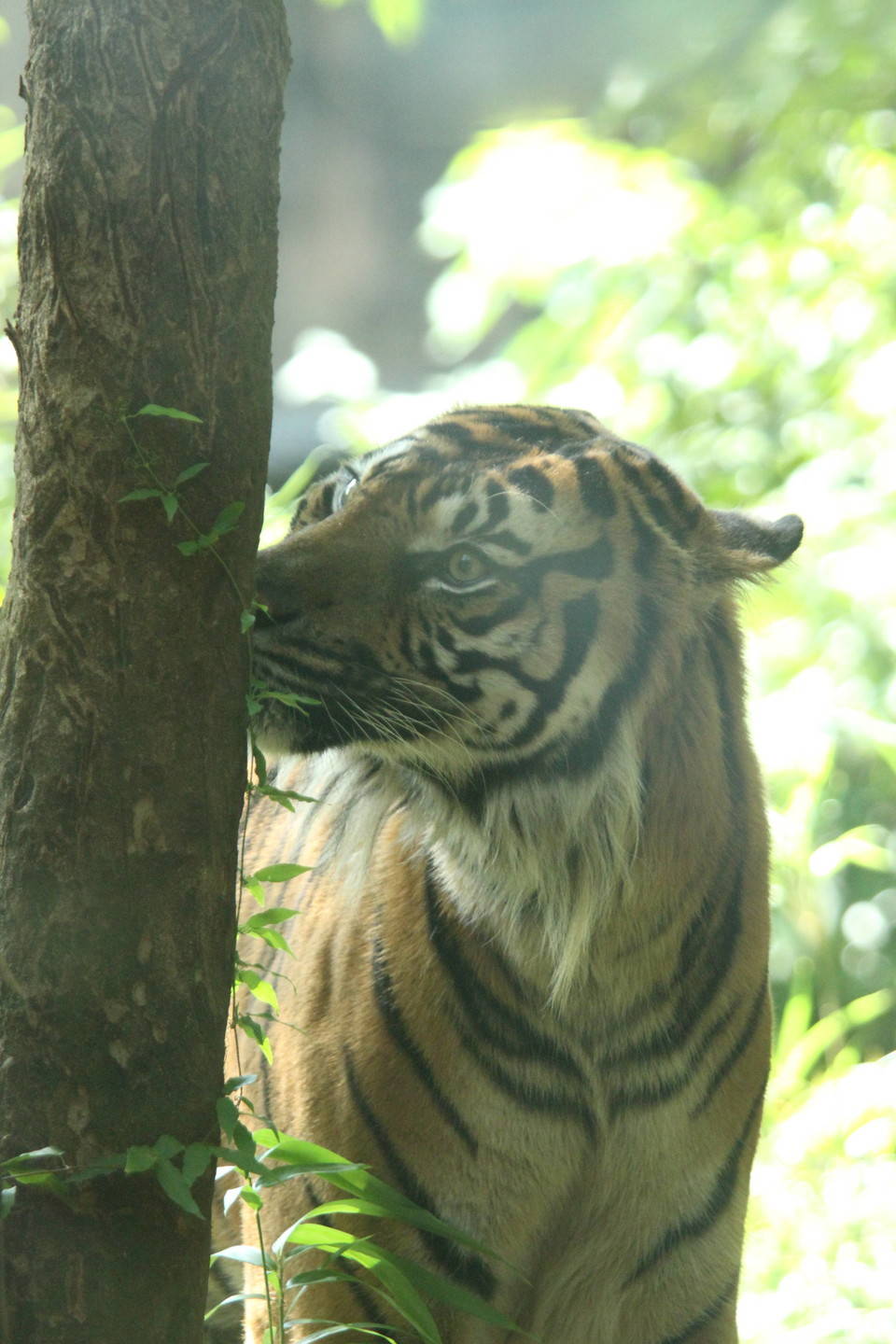 IMG_6235.jpg