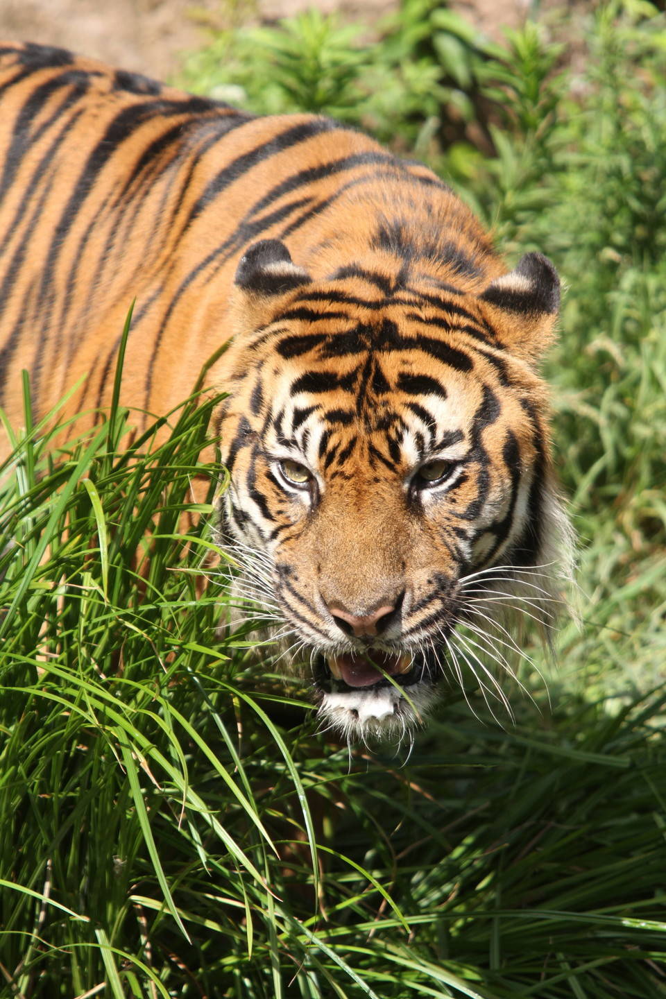 IMG_6324.jpg