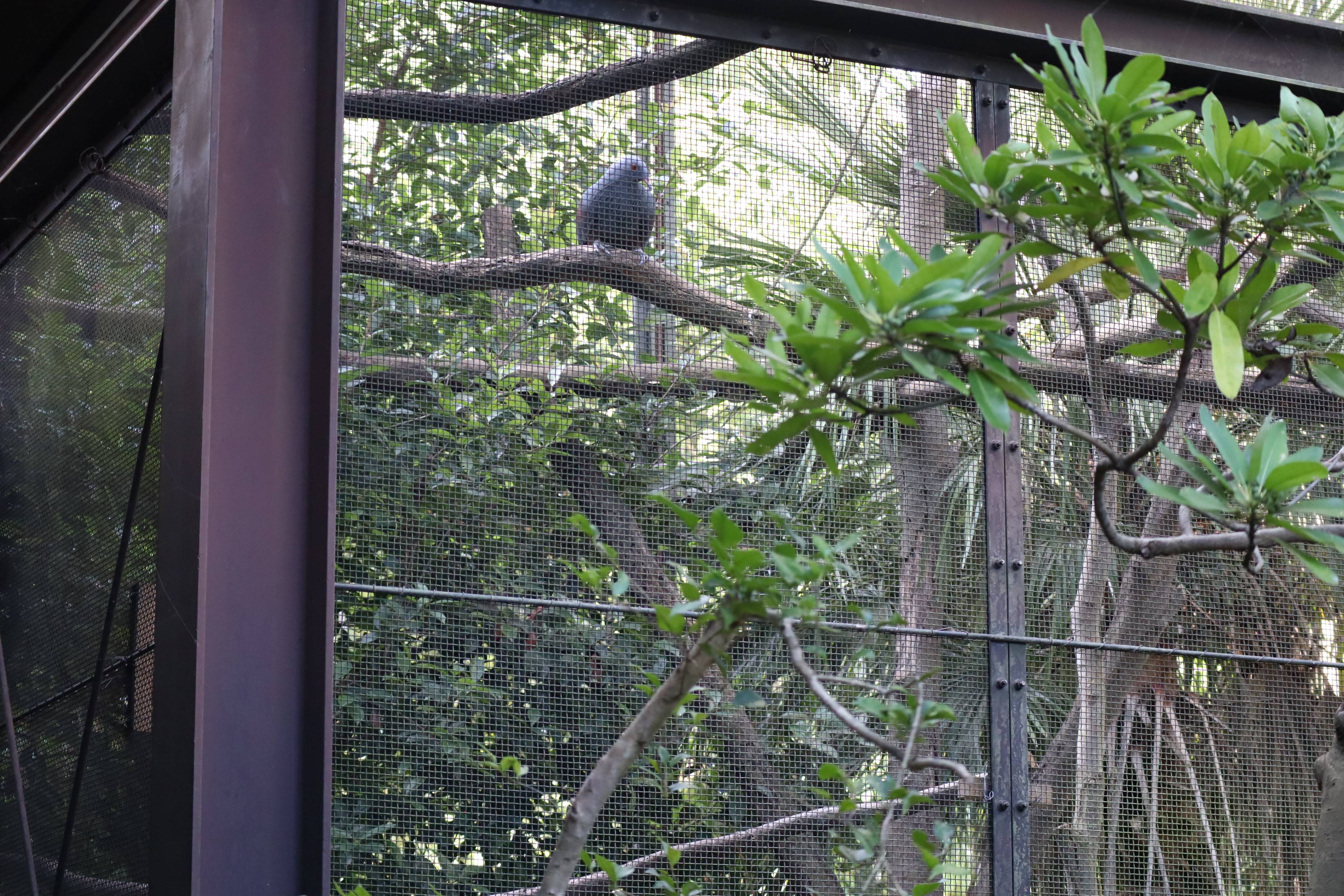 【飼育日誌】20201031：激変 (14).jpg