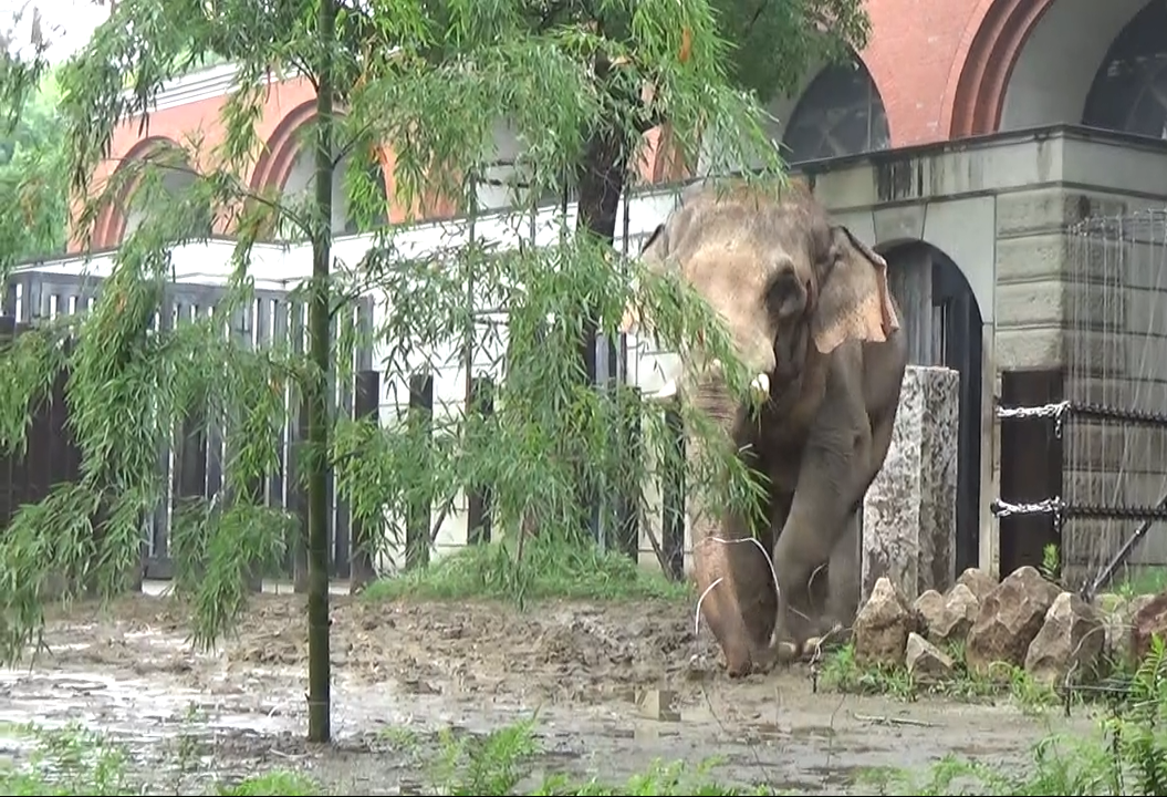 スクリーンショット (9).png