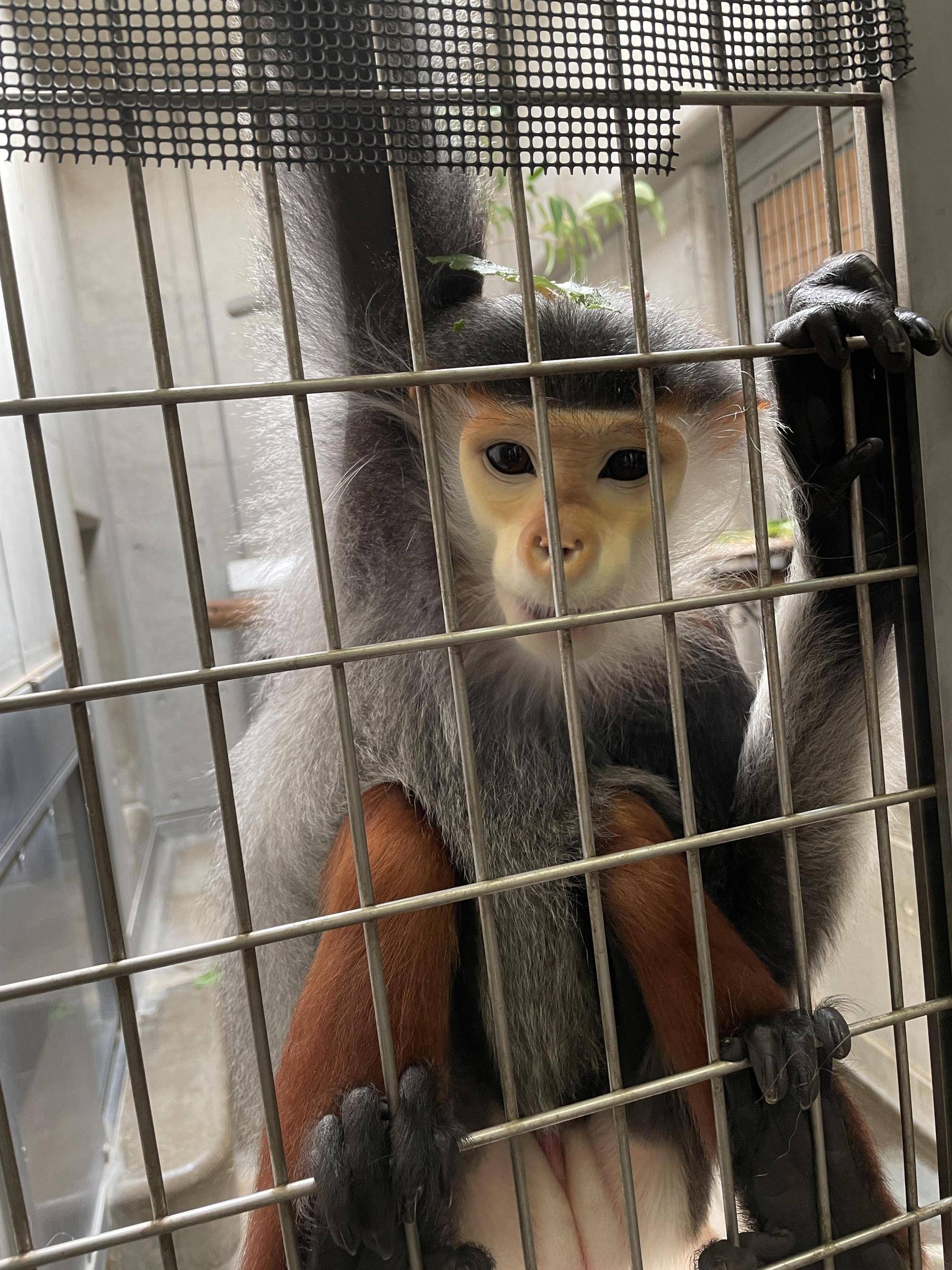 【飼育日誌】20220710:マニかっぱ現る (2).jpg
