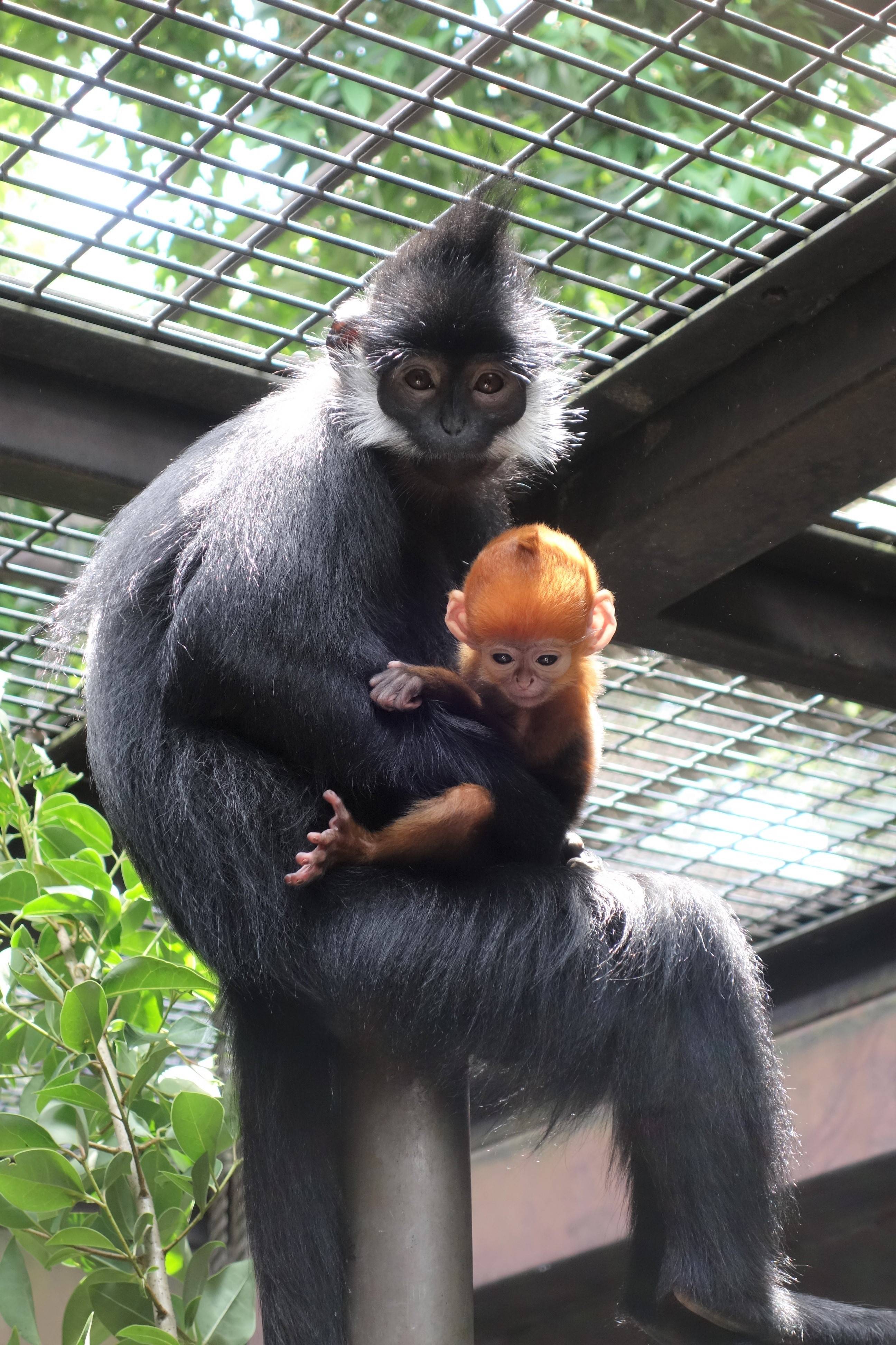 担当者もおすすめです♪|deズーラシア｜ブログ|よこはま動物園