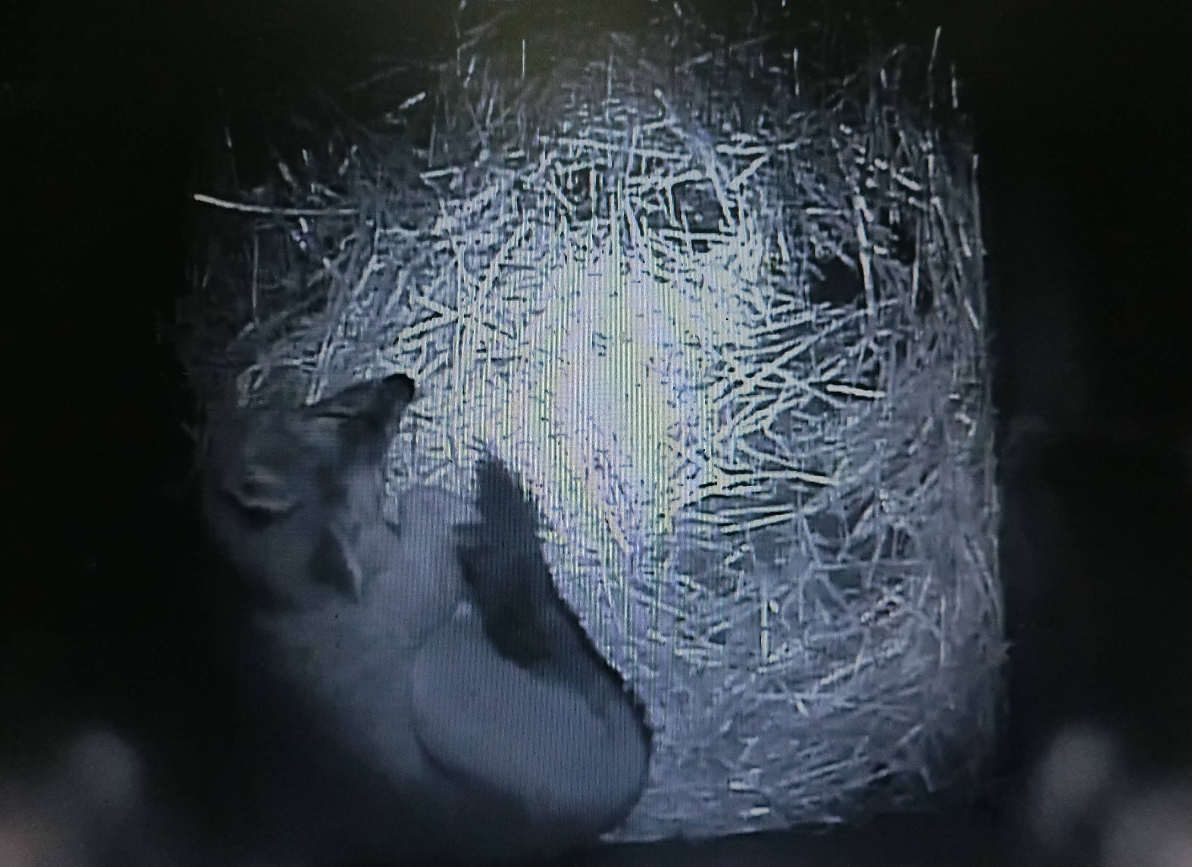 バースデー (39).jpg