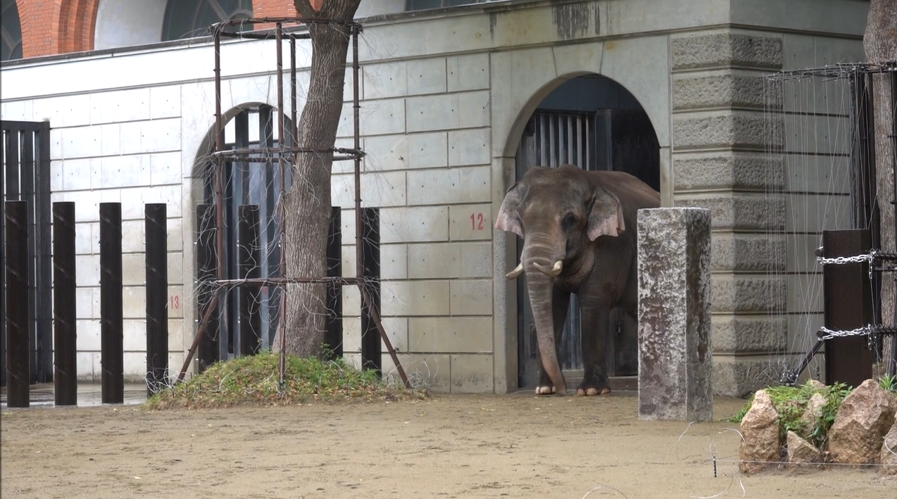 スクリーンショット (11).png