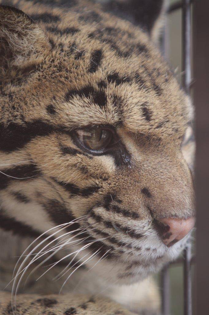 アニルのアップ②