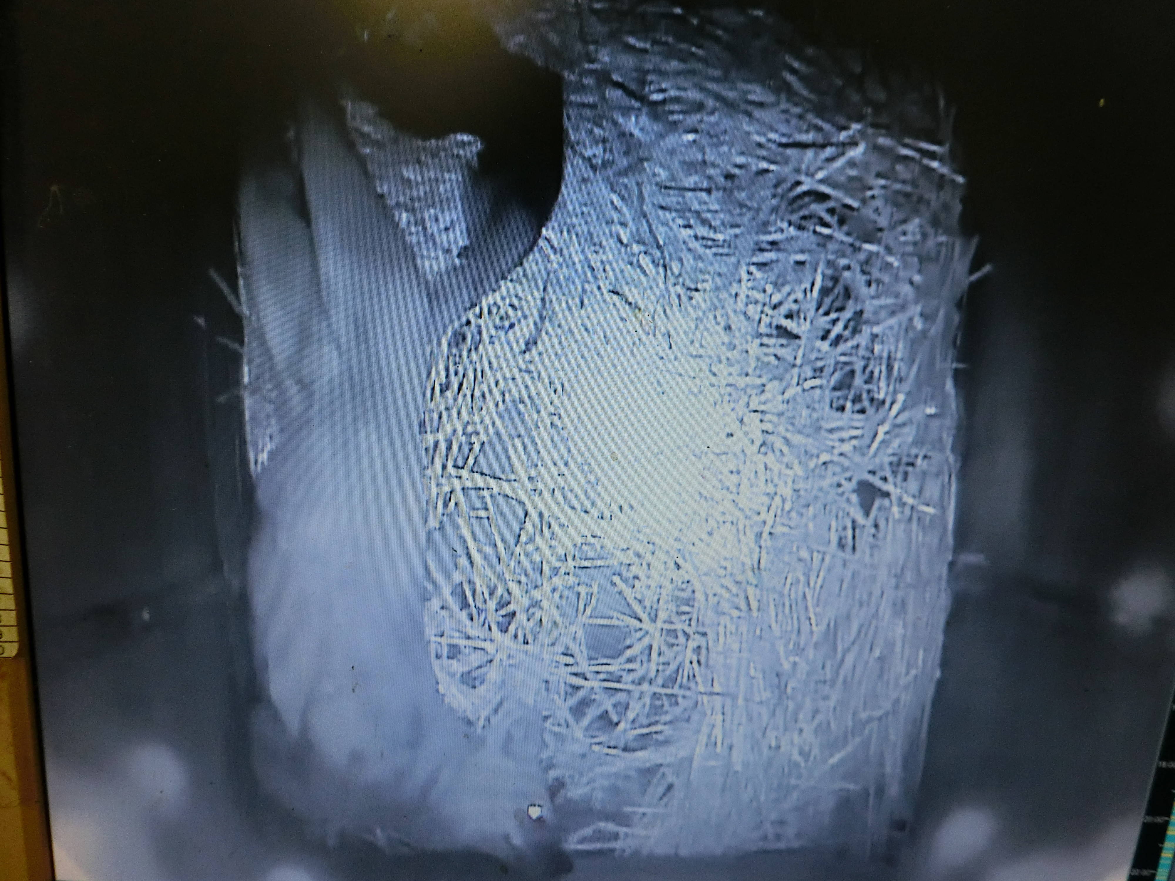 ケーシー (7).jpg