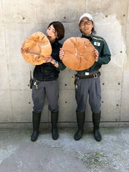 飼育日誌 20190519-1 裏側.jpg