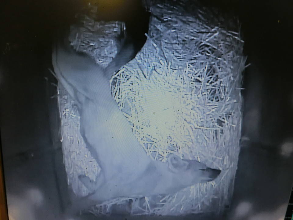 ケーシー (8).jpg