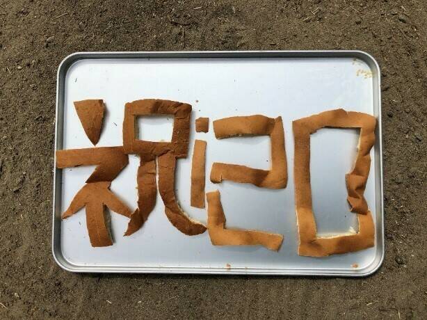 飼育日誌 20190519-4 裏側 .jpg