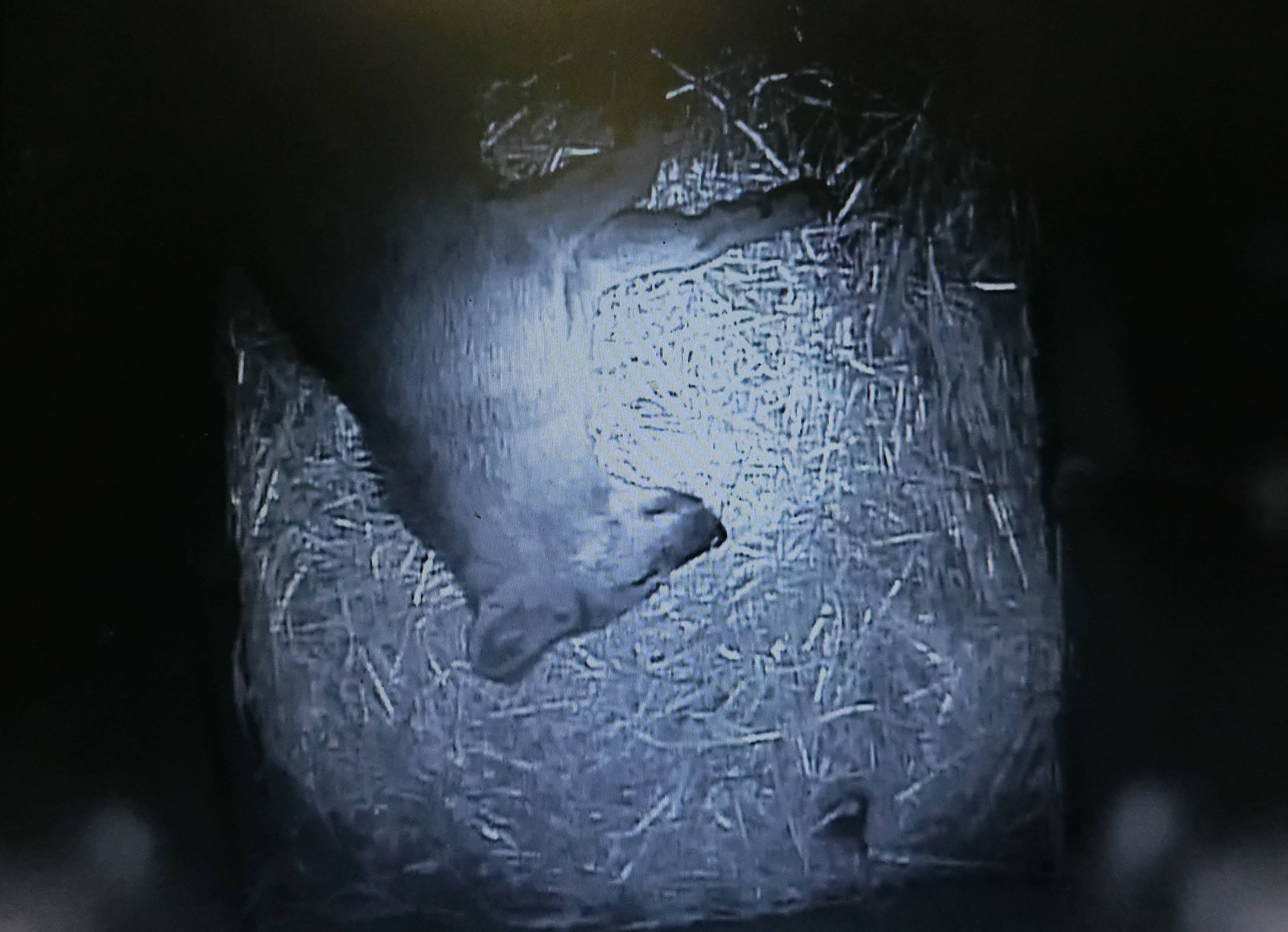 バースデー (30).jpg