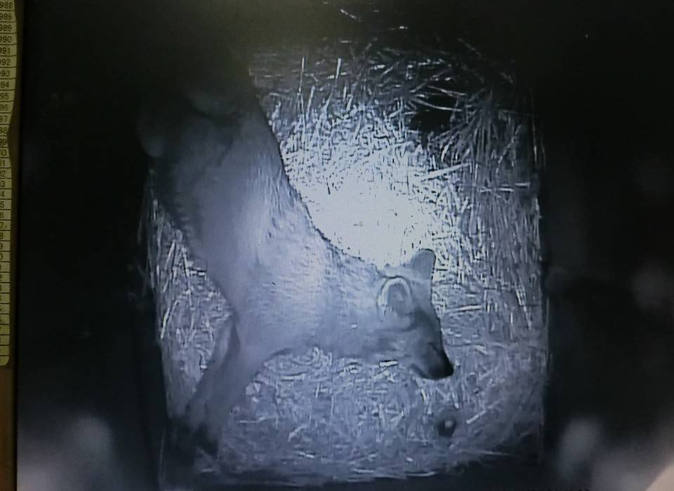 バースデー (16).jpg