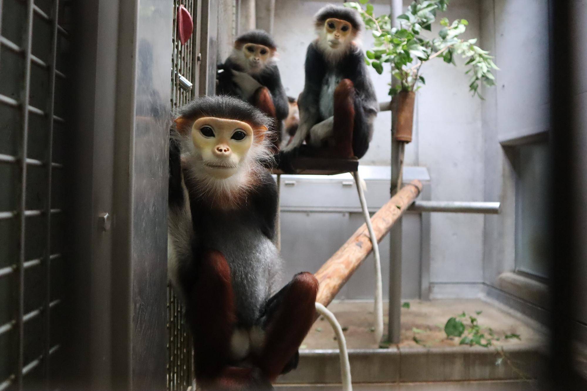 【飼育日誌】20220802：マニプクの思い出 (24).jpg