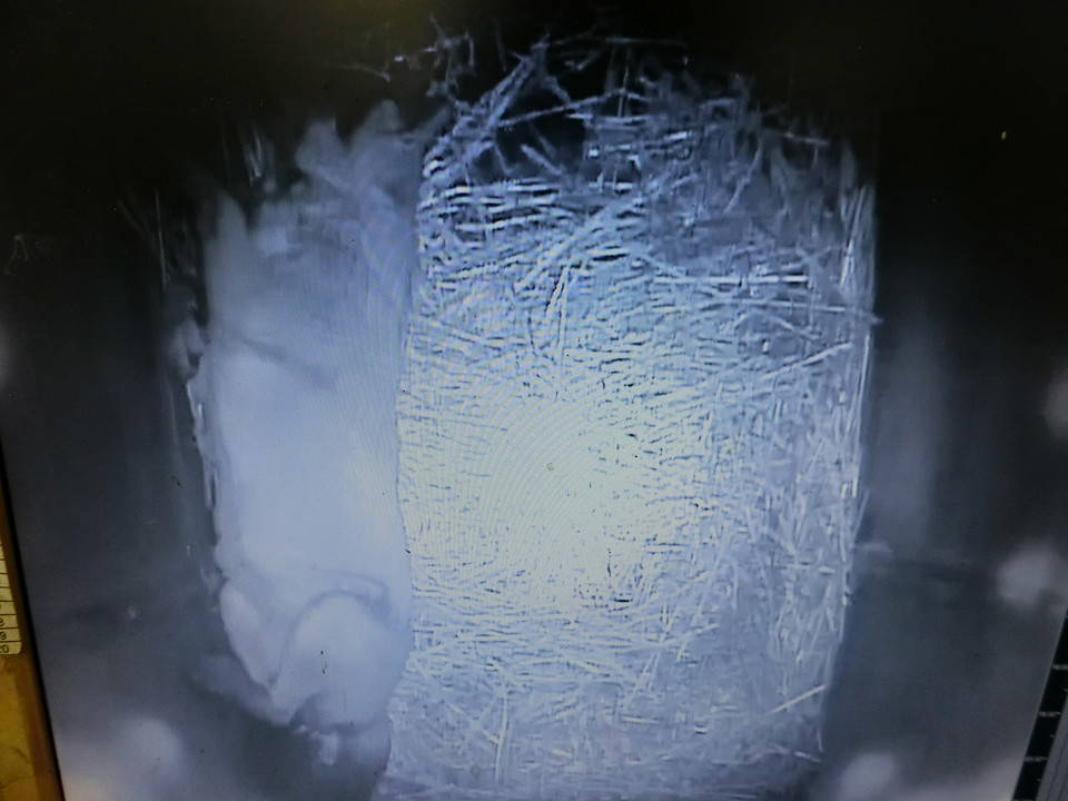 ケーシー (6).jpg