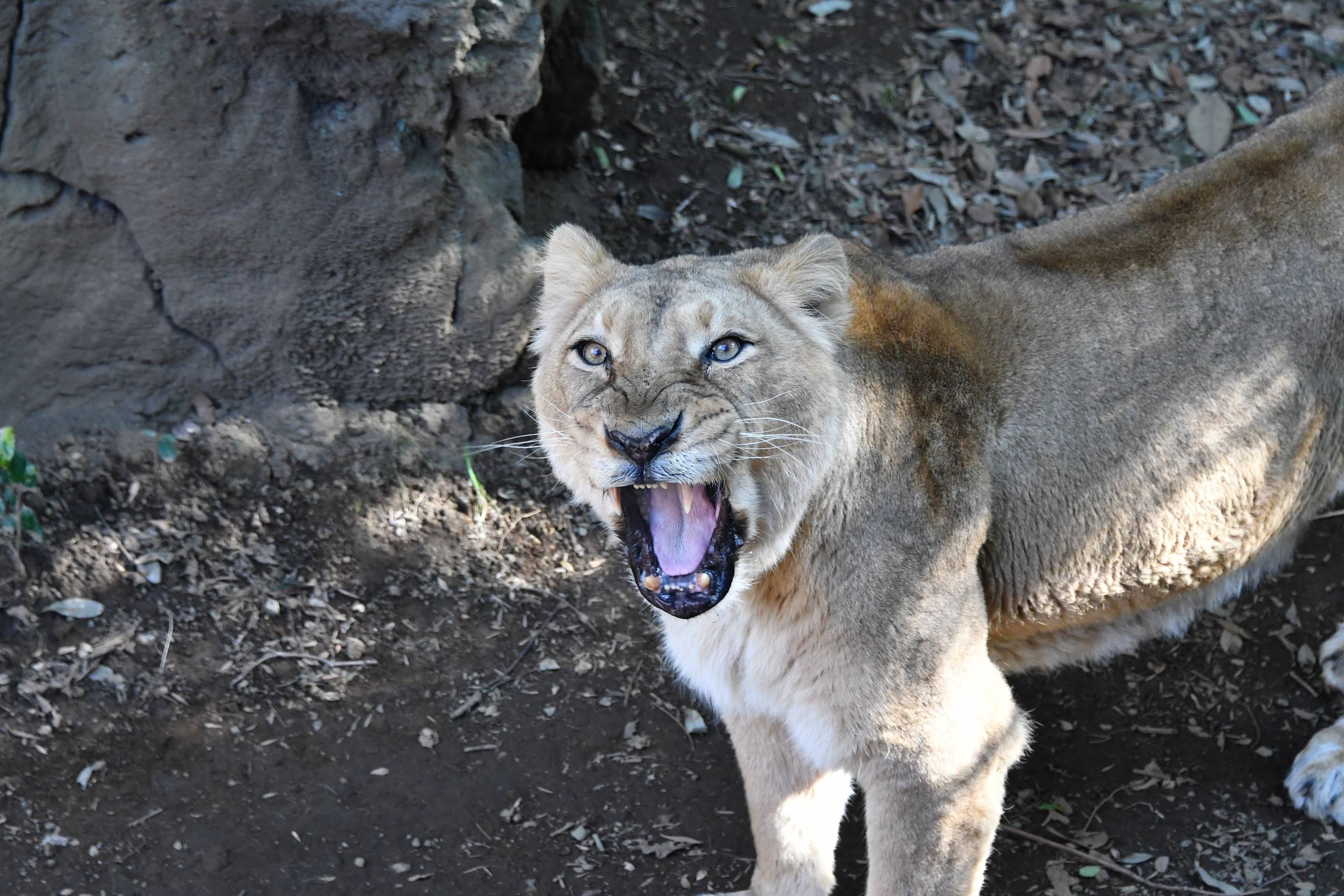 07サティ (2) - コピー.jpg