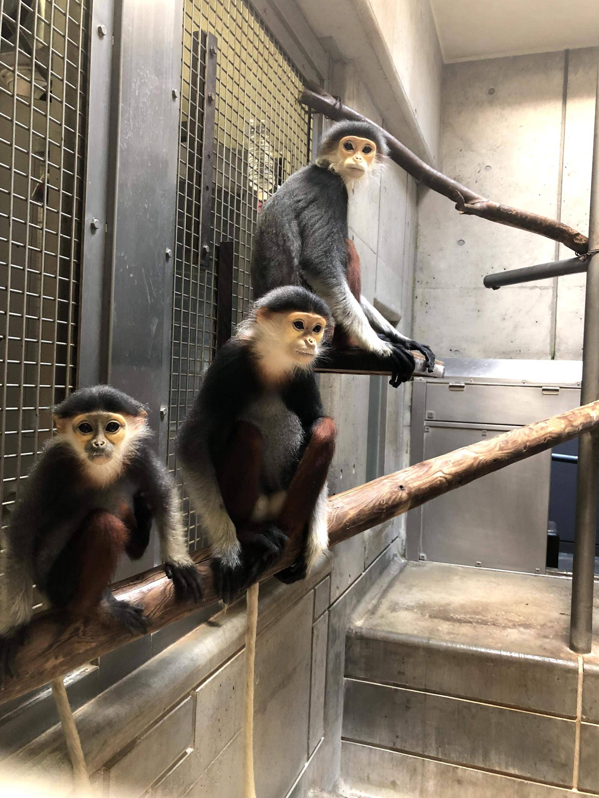 【飼育日誌】20220802：マニプクの思い出 (11).jpg