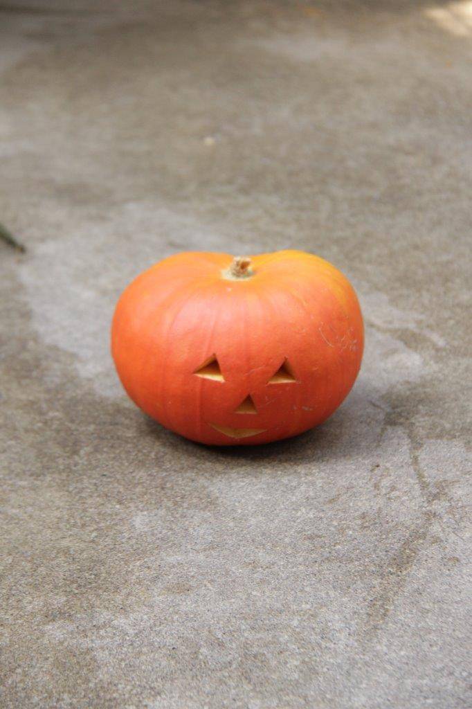 ガンターに与えたカボチャ