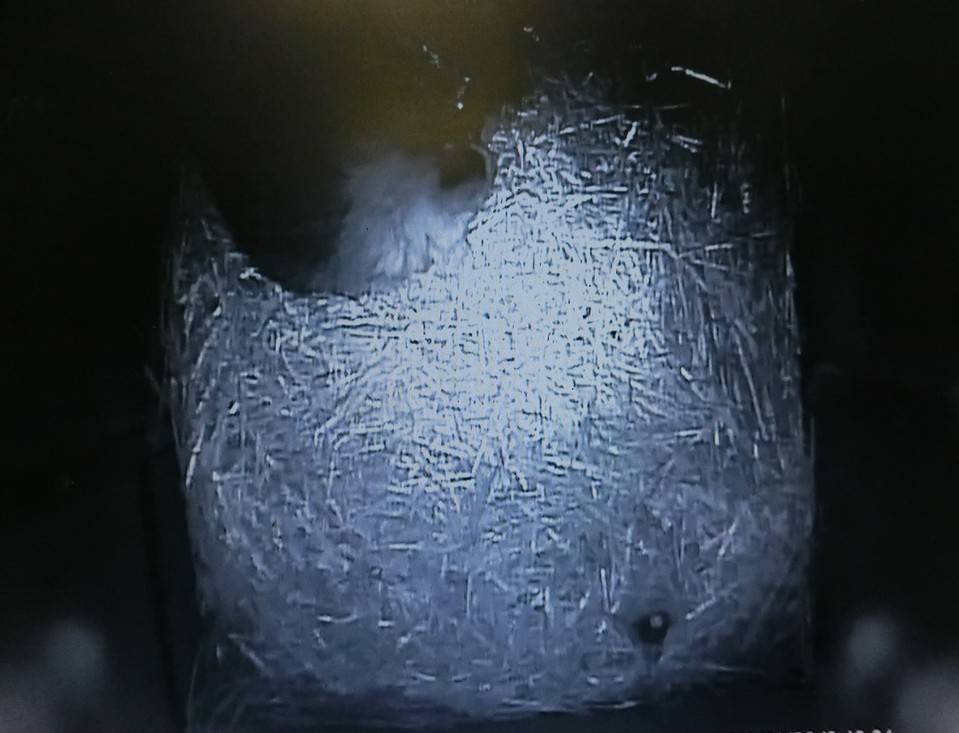 バースデー (14).jpg