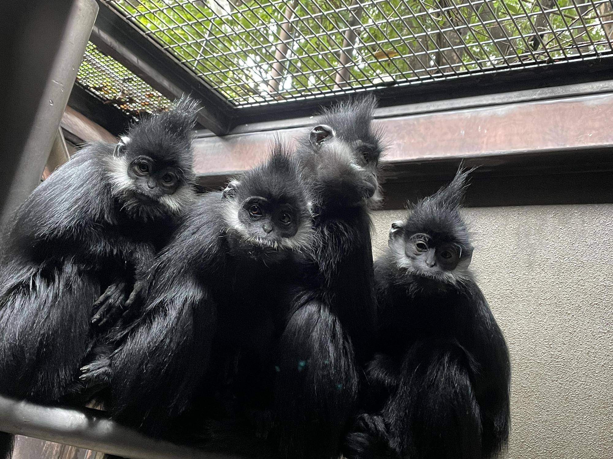 【飼育日誌】20220523:改めて紹介 (10).jpg