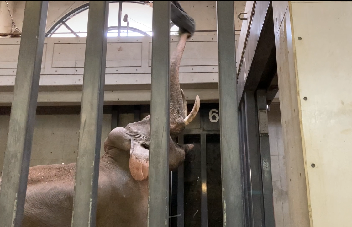 スクリーンショット (8).png