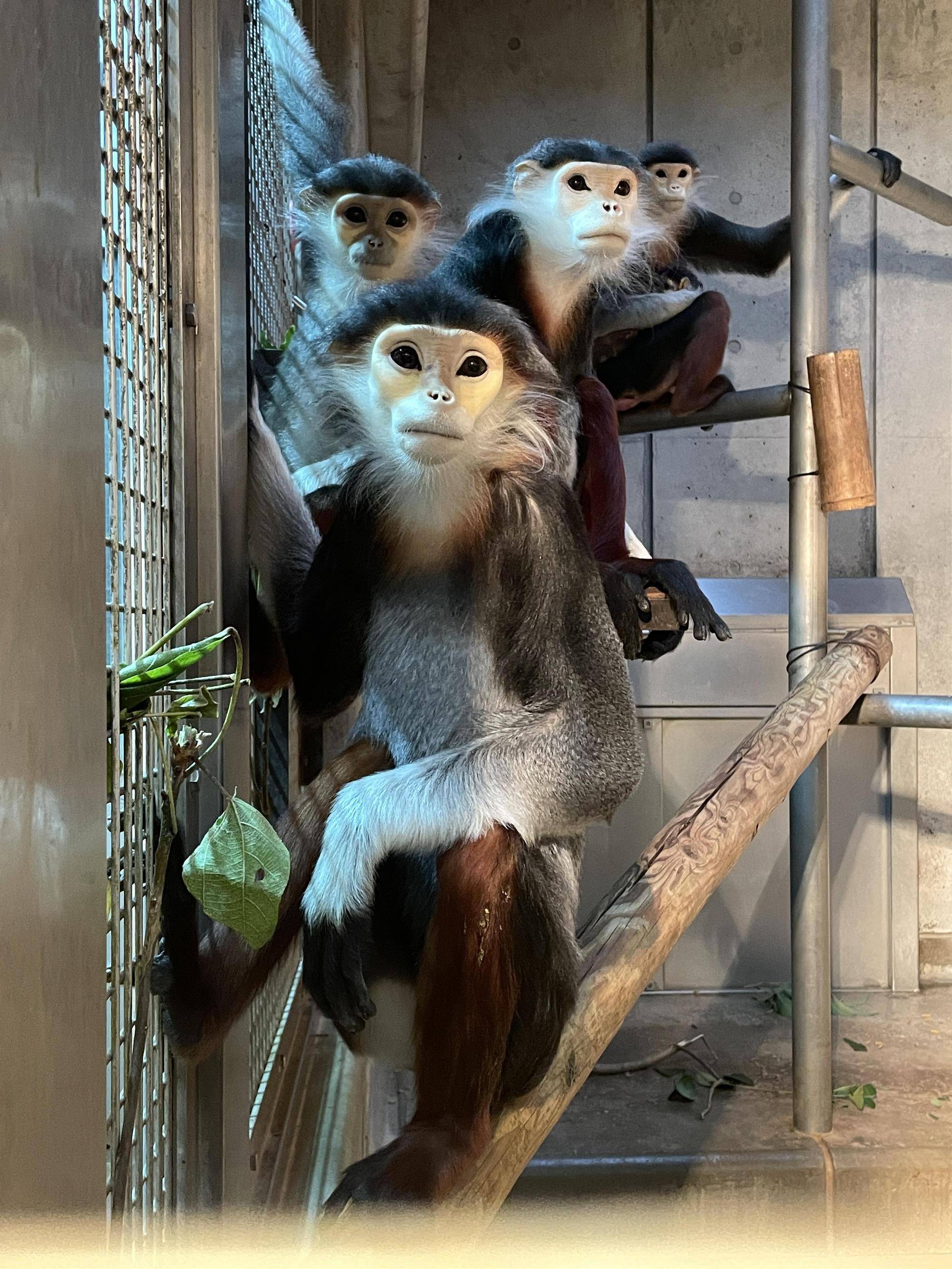 【飼育日誌】20220523:改めて紹介 (9).jpg