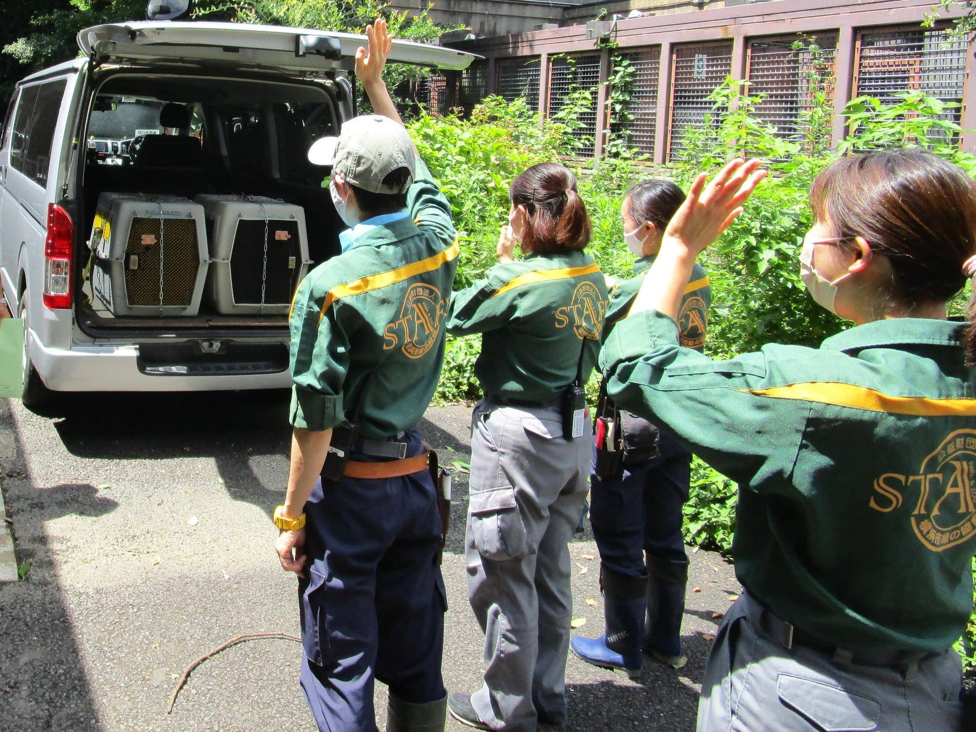 【飼育日誌】20220802：マニプクの思い出 (21).jpg