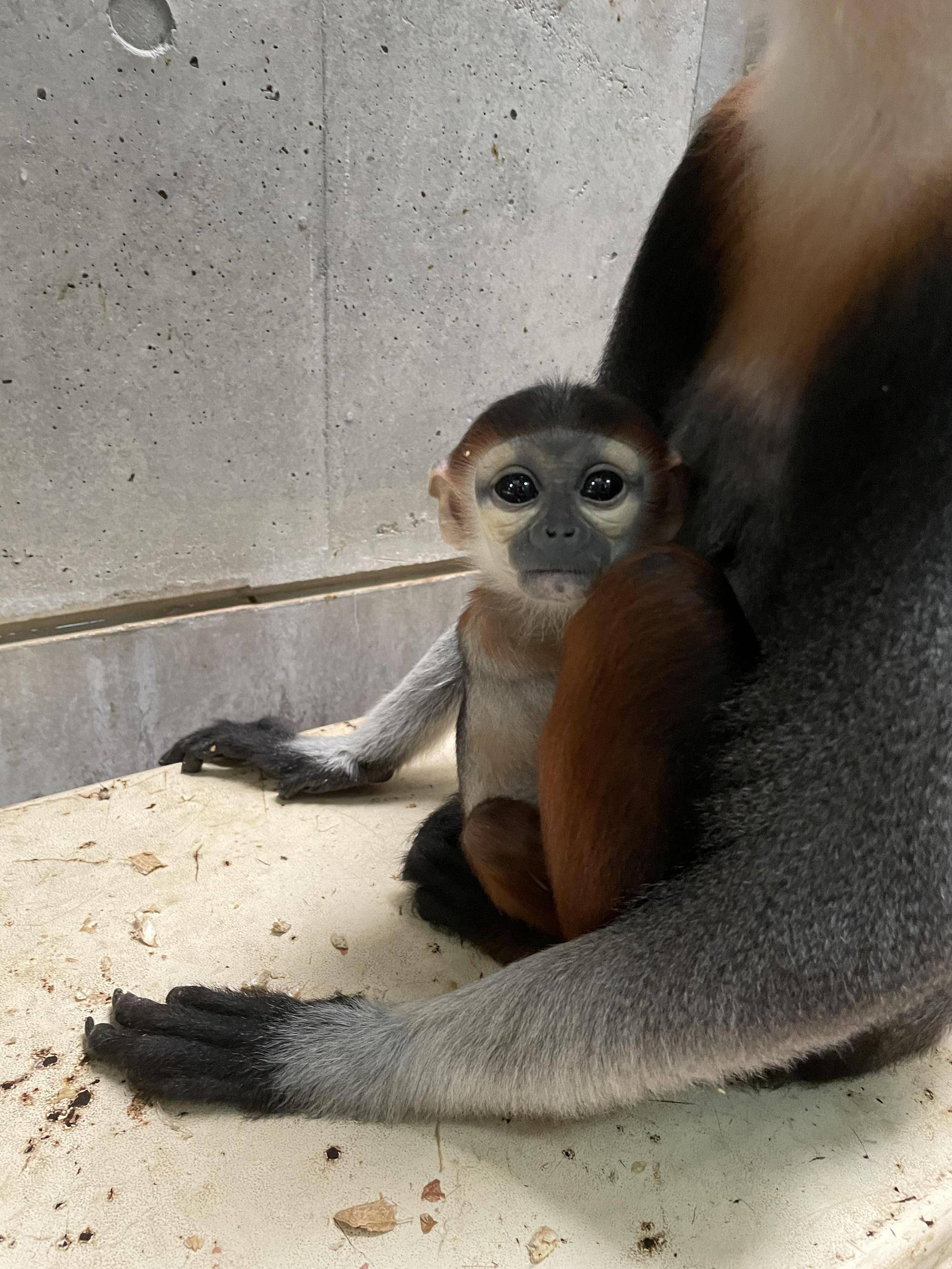 【飼育日誌】20220523:改めて紹介 (2).jpg