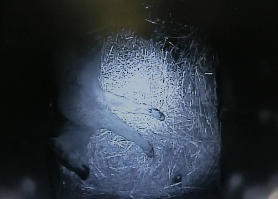 バースデー (23).jpg