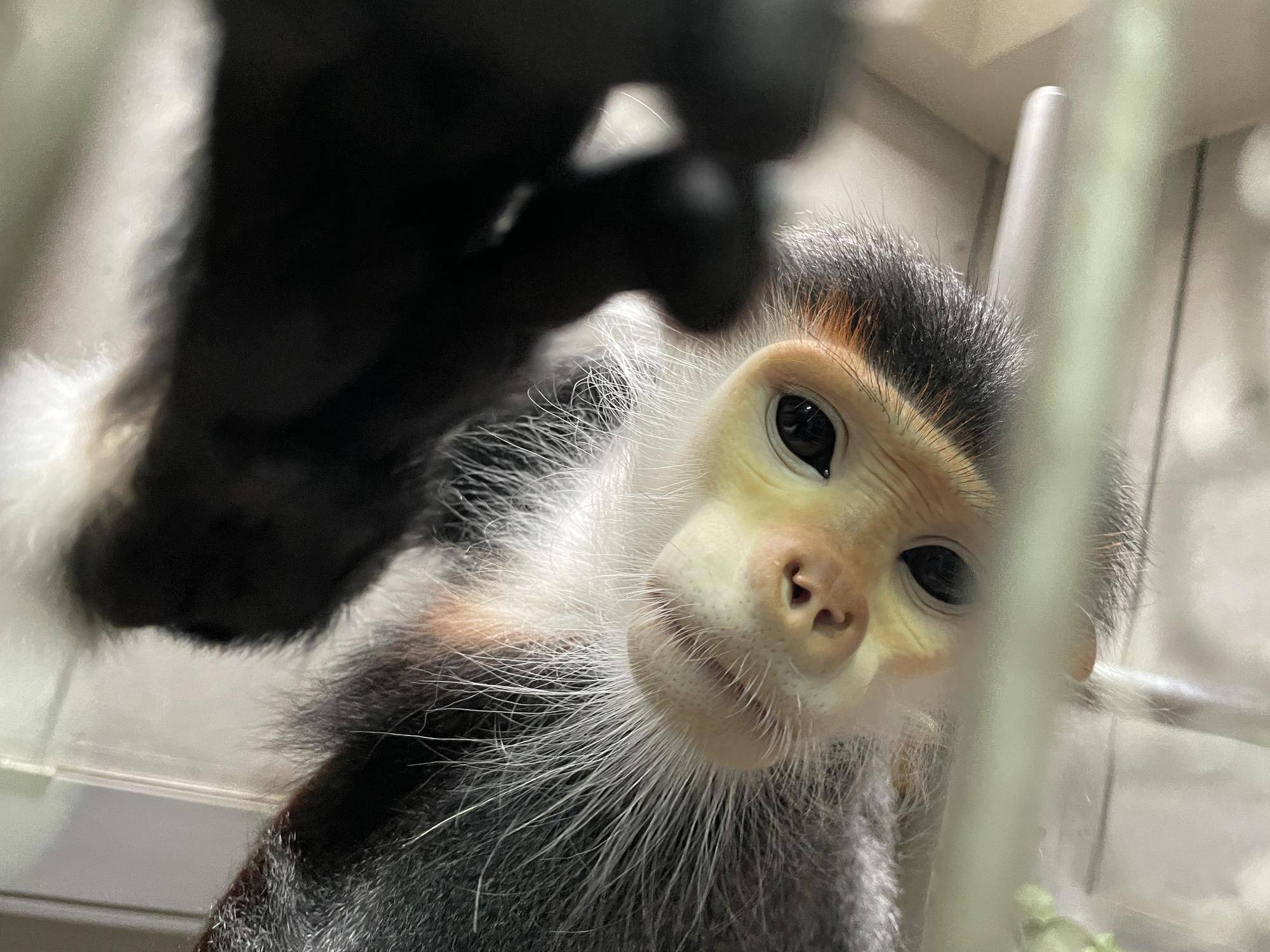 【飼育日誌】20220802：マニプクの思い出 (23).jpg