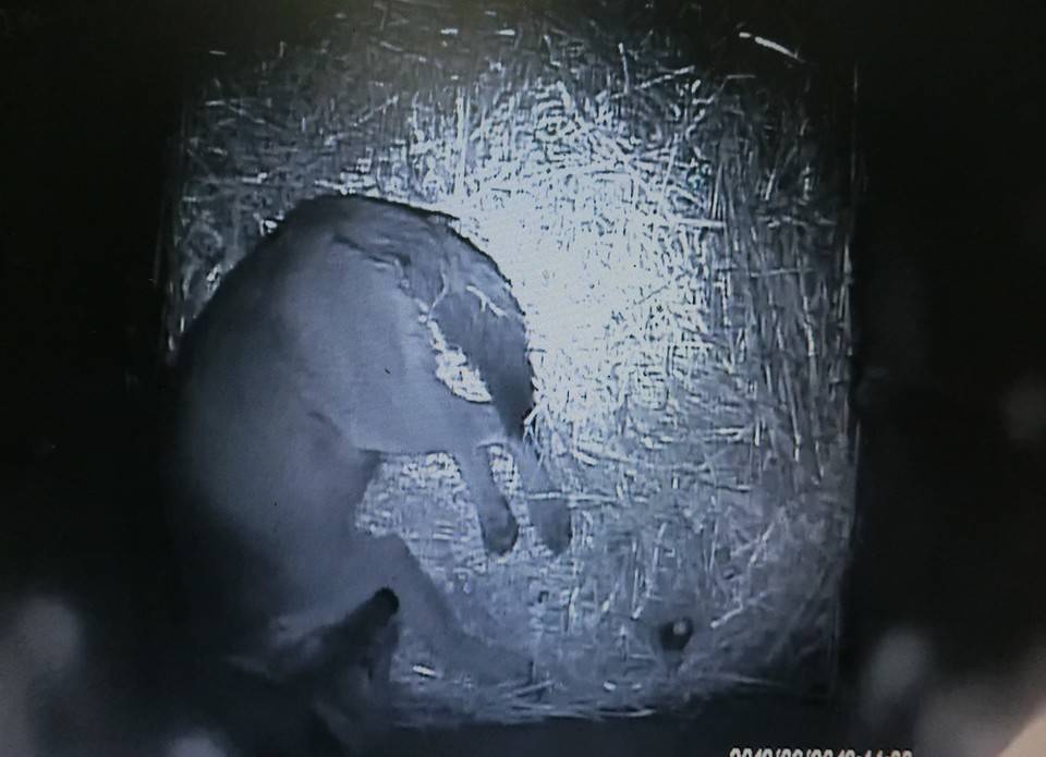 バースデー (12).jpg