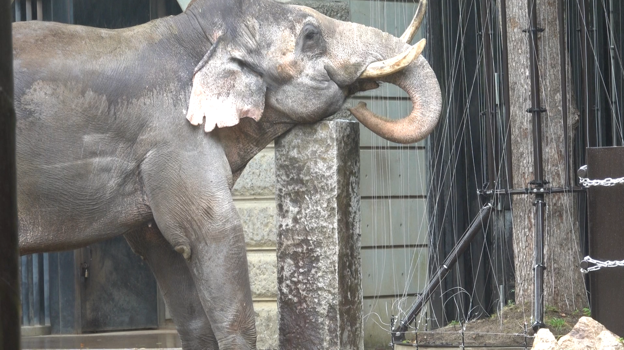 スクリーンショット (18).png