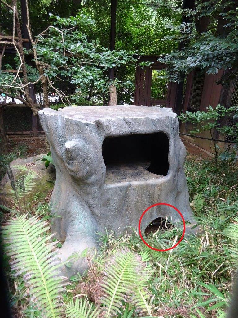 展示場中央に置いてあるシェルター。よく探さないと姿は見えません。