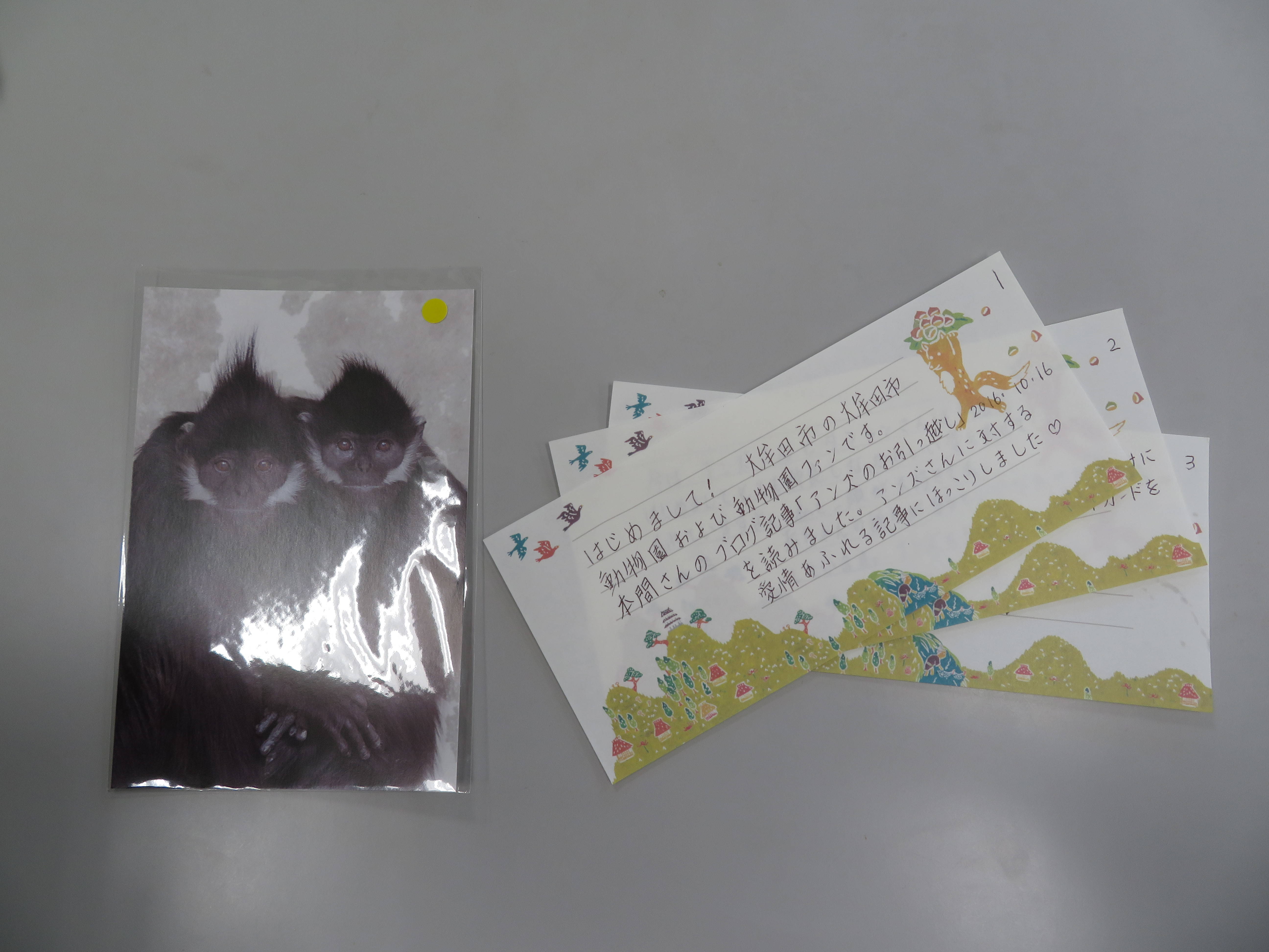 20161203 お手紙.jpg