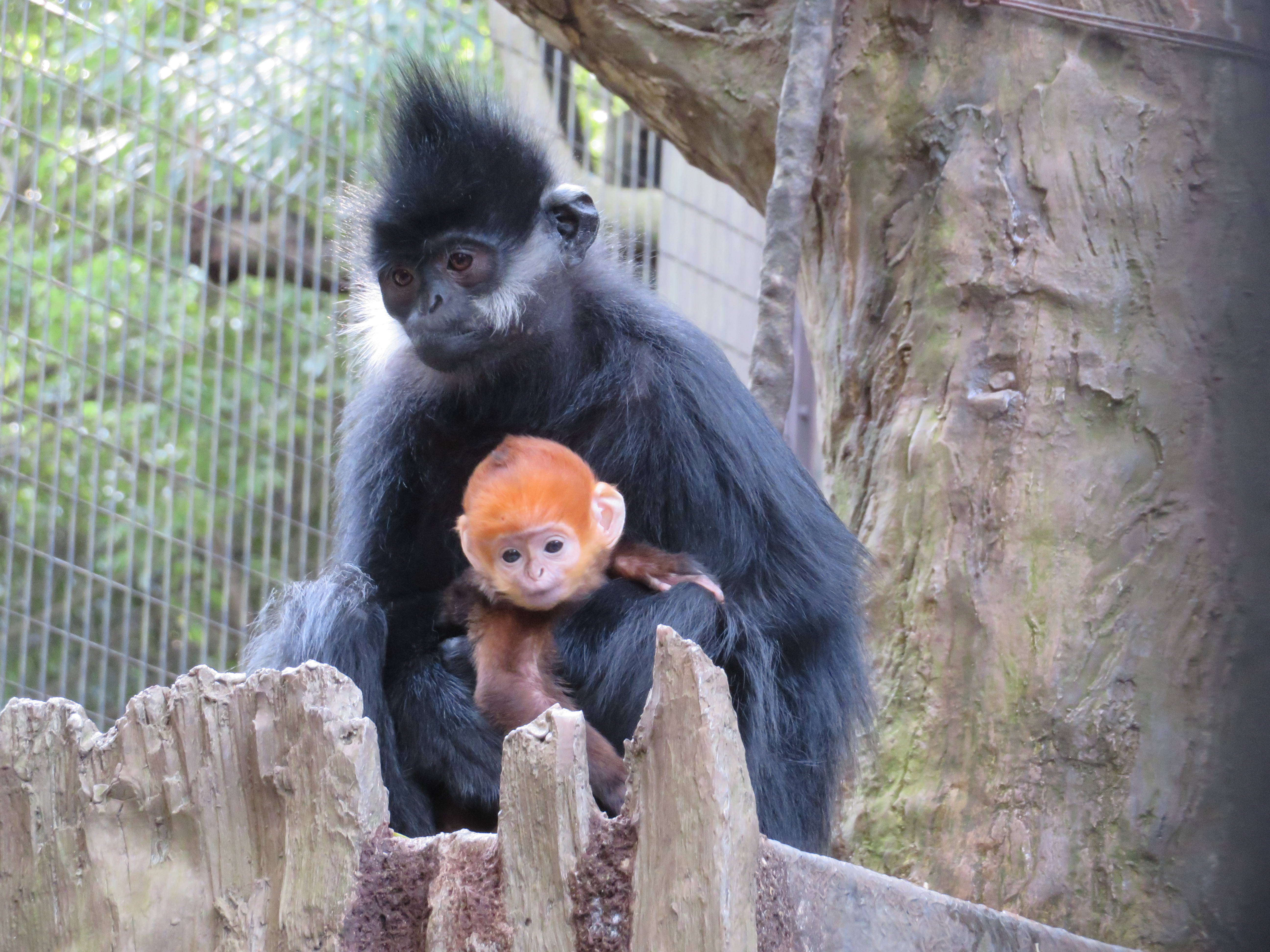 20161221 展示場箱上.jpg