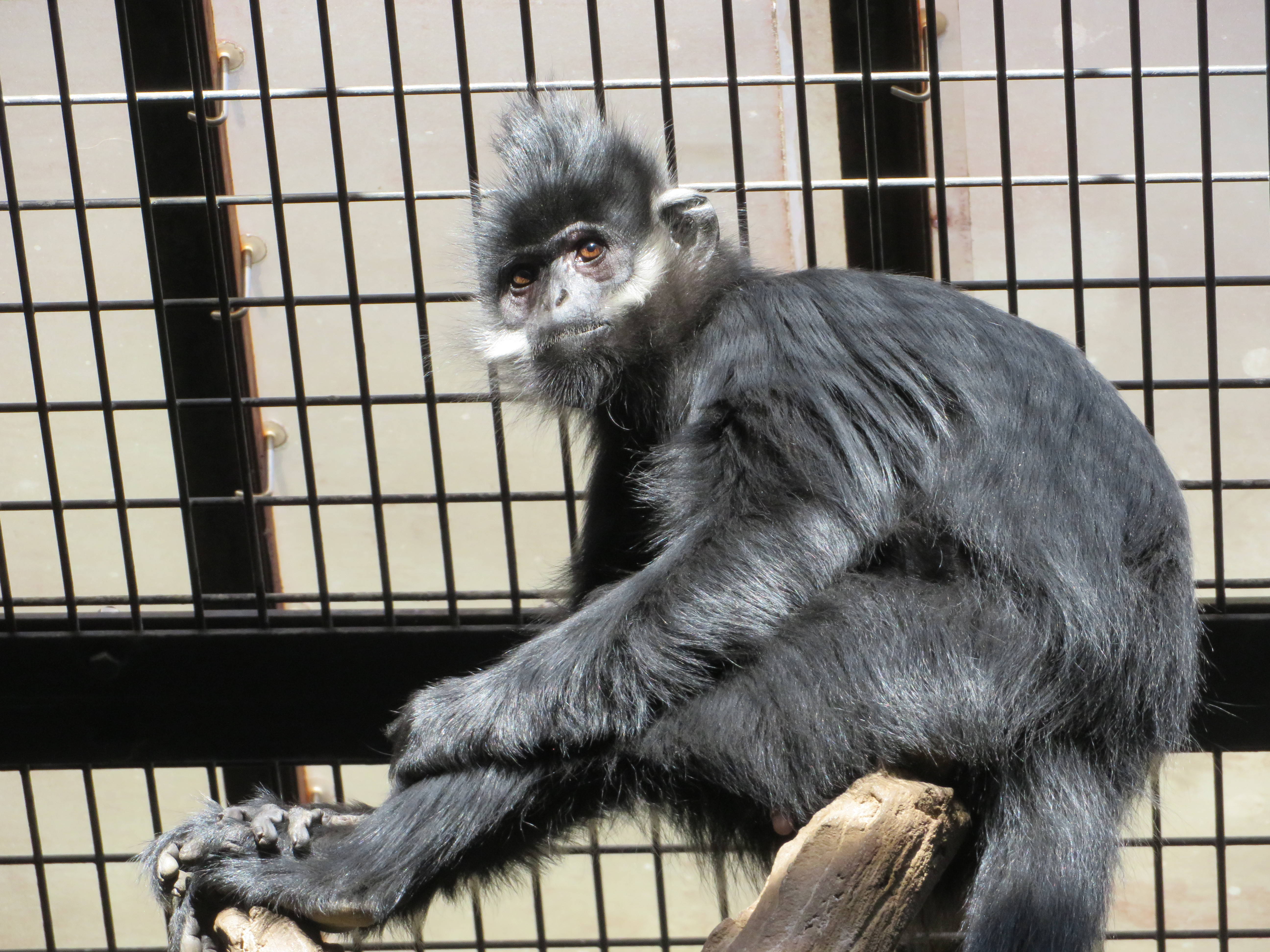 20170112 ニンニン.jpg