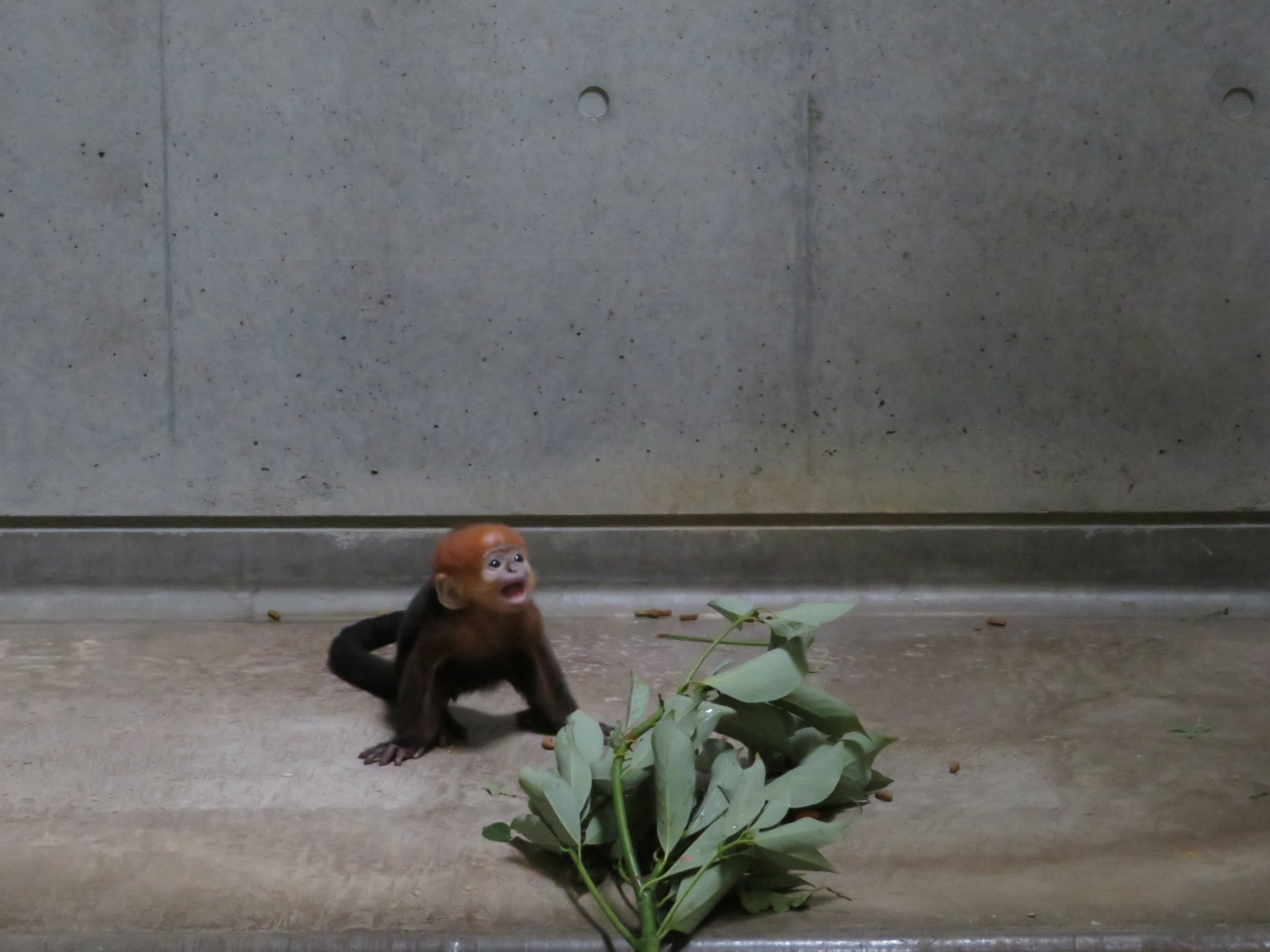 201612221 ひとりだと不安.jpg