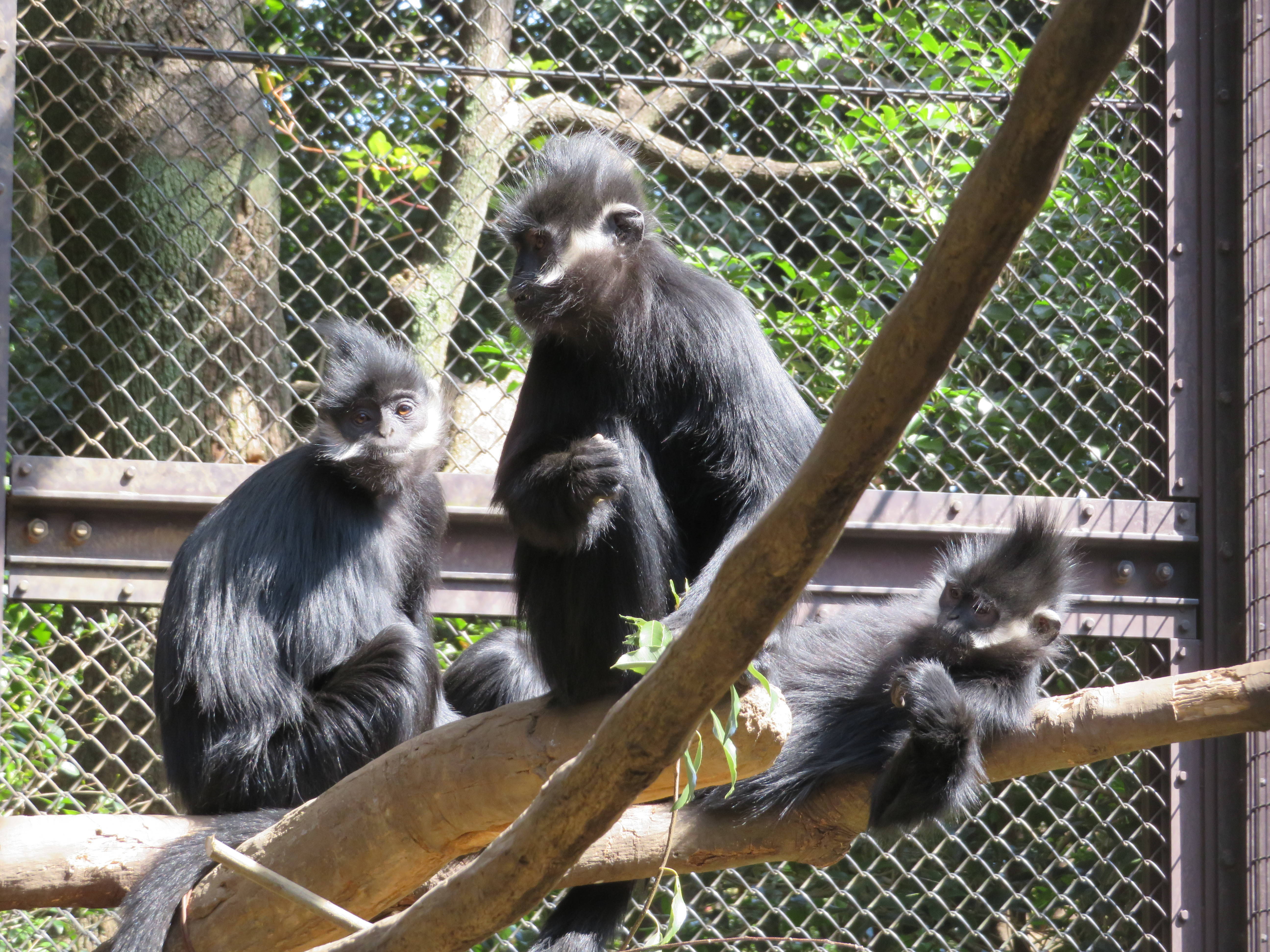 20170318 ぐだぐだ.jpg