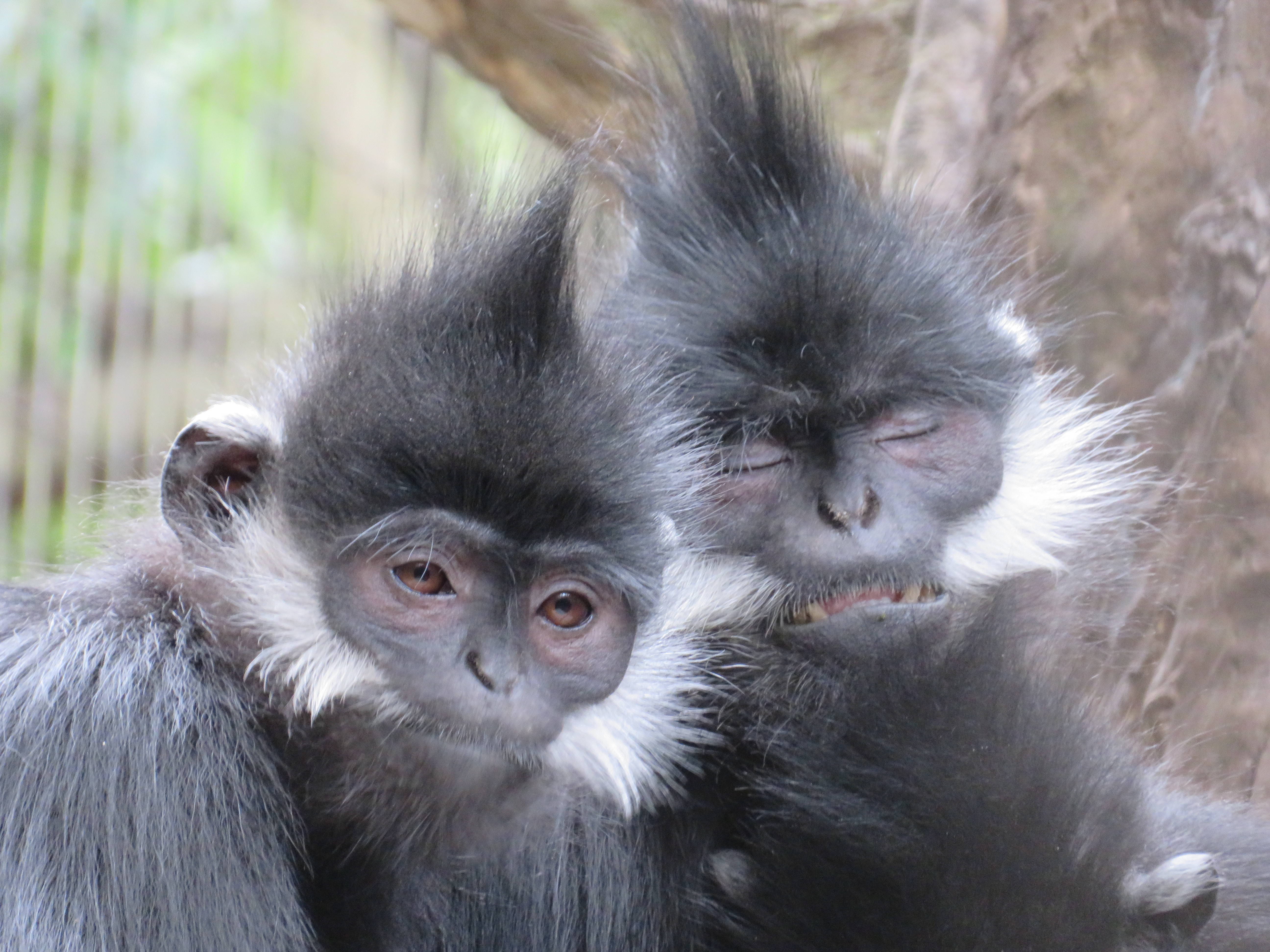 20170605 かわいい.jpg