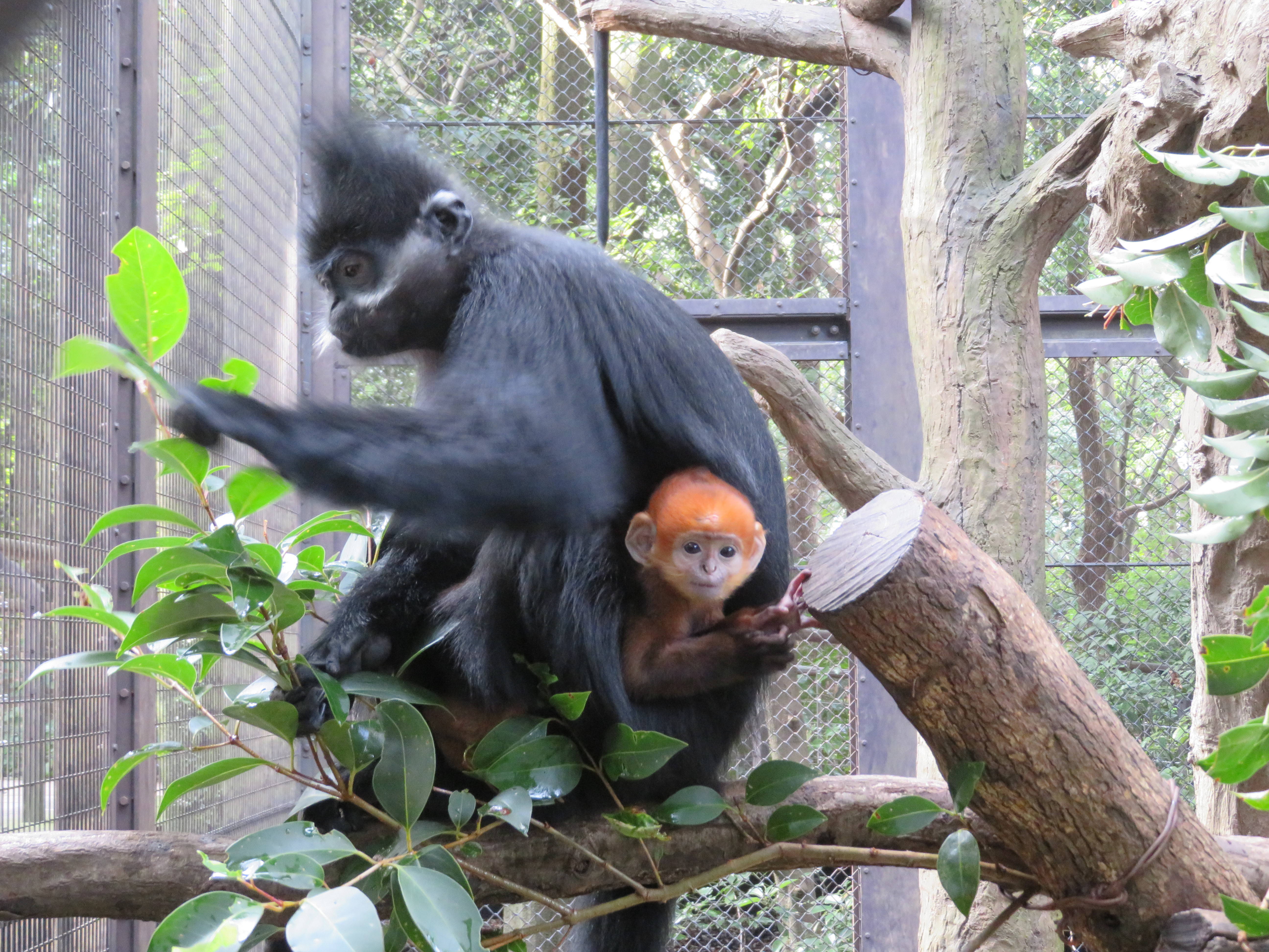 20161222 気になる.jpg