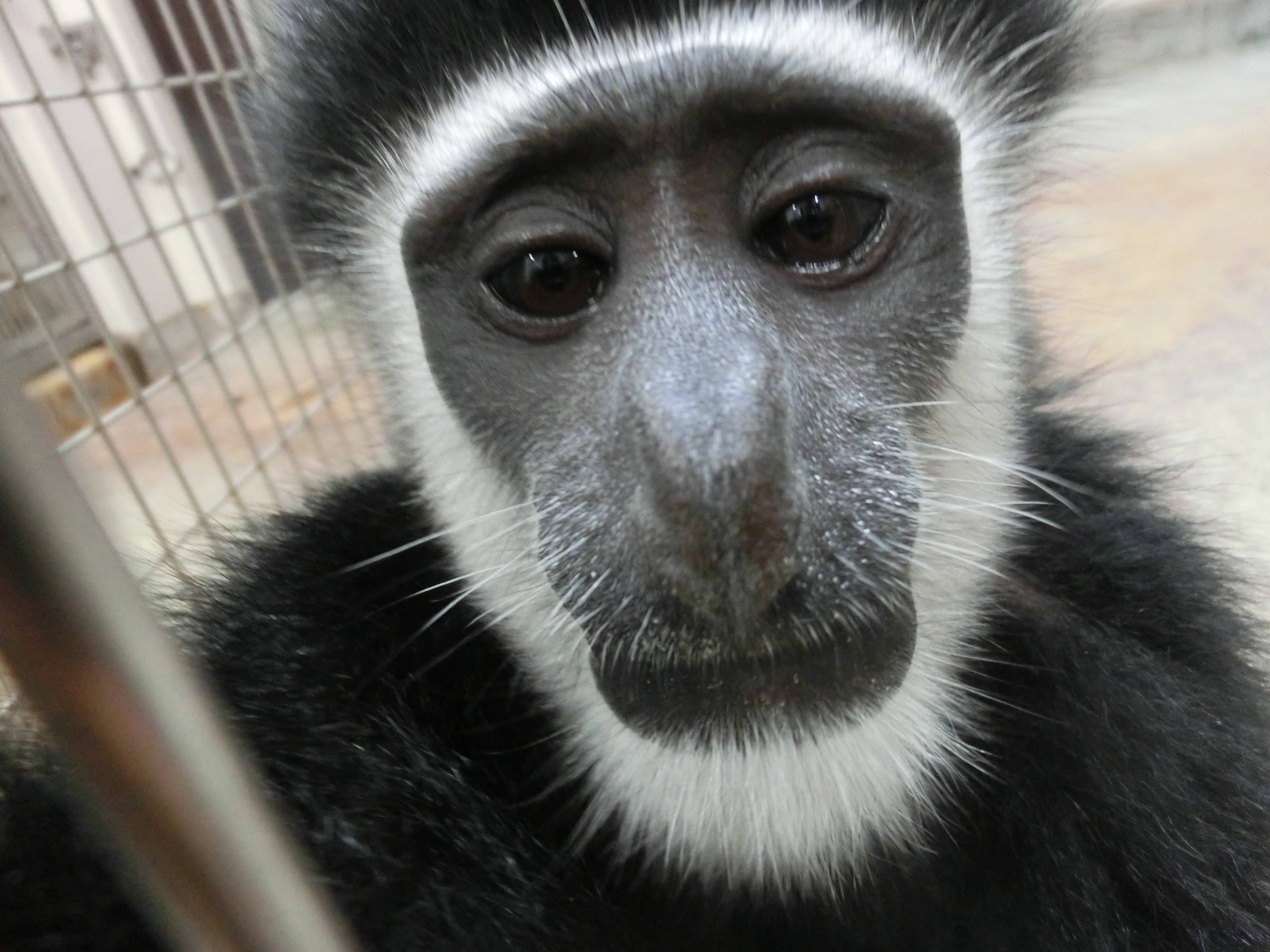 HAPPY BIRTH DAY!! (3).jpg