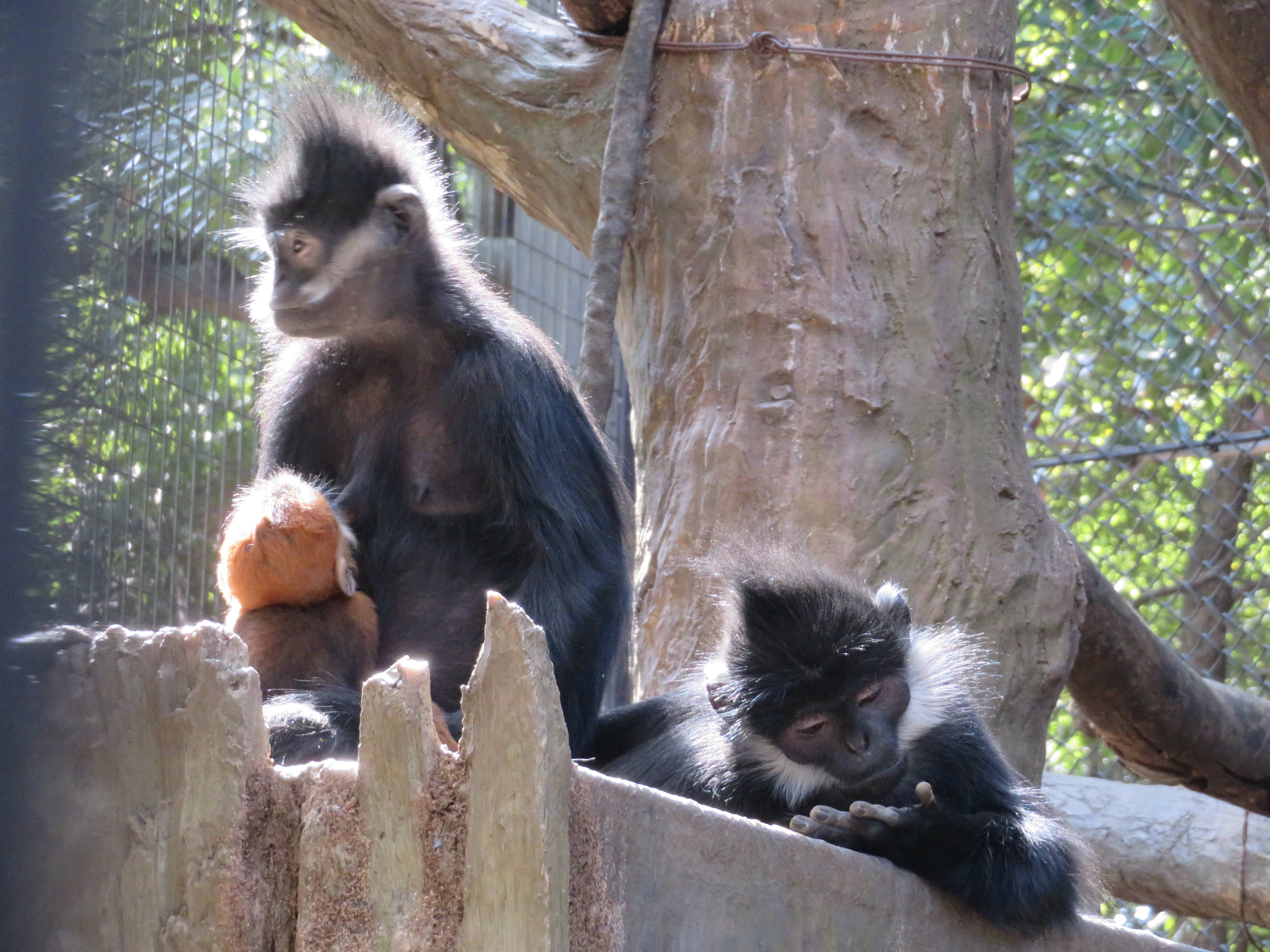 20170318 タンタンも来た.jpg