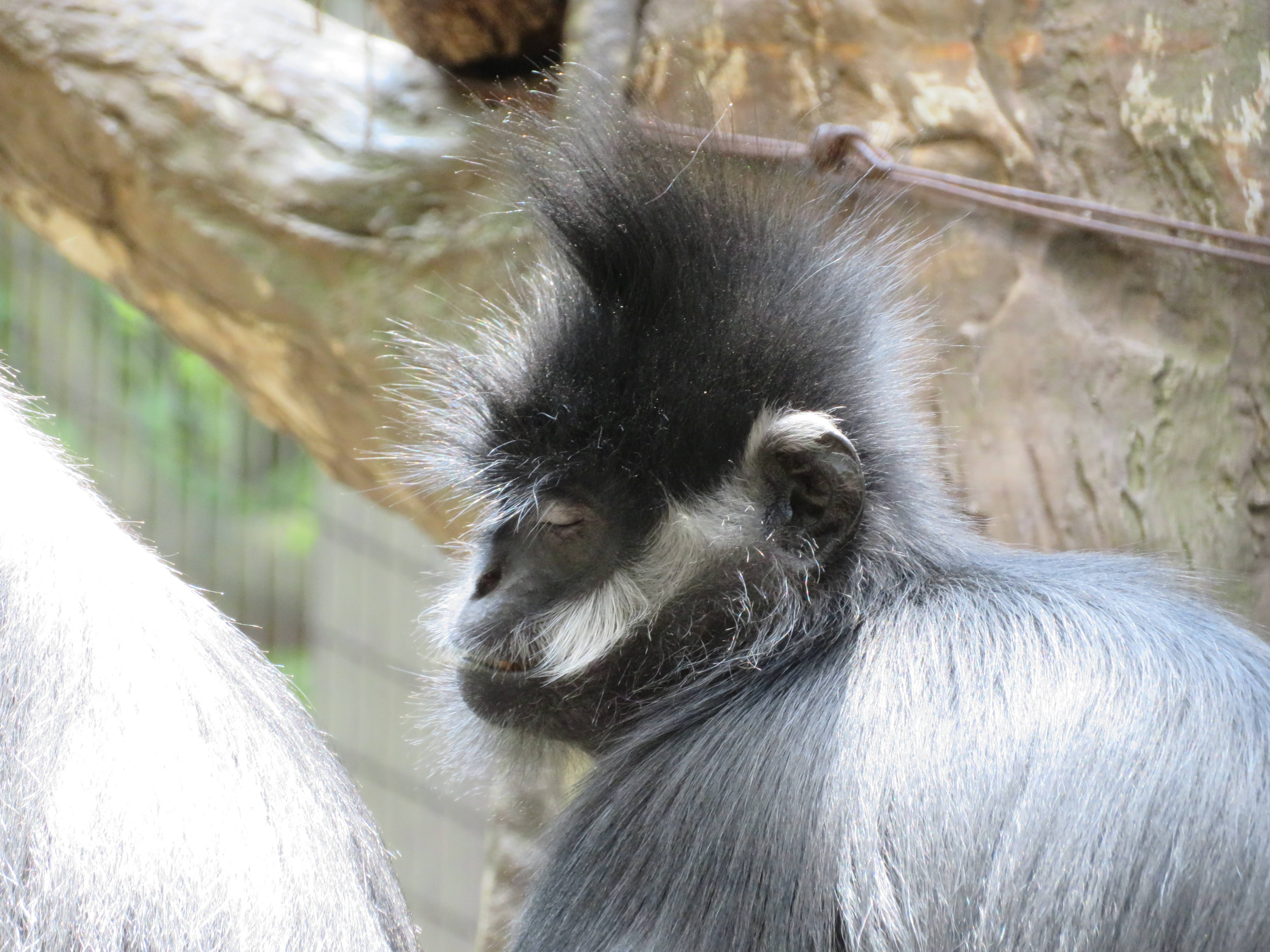20170605 眠そう・横.jpg
