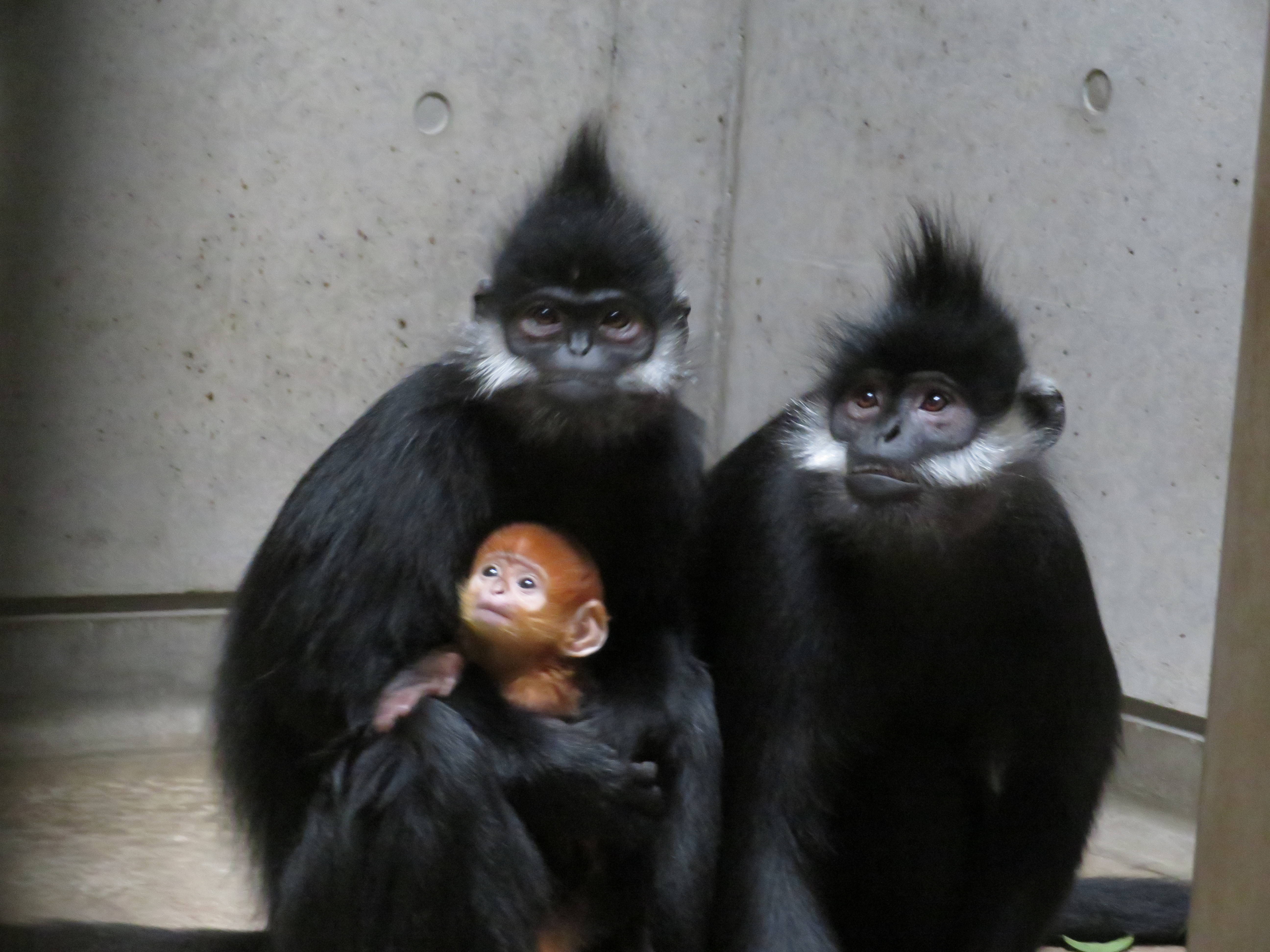 20161214 タンタンと母子.jpg