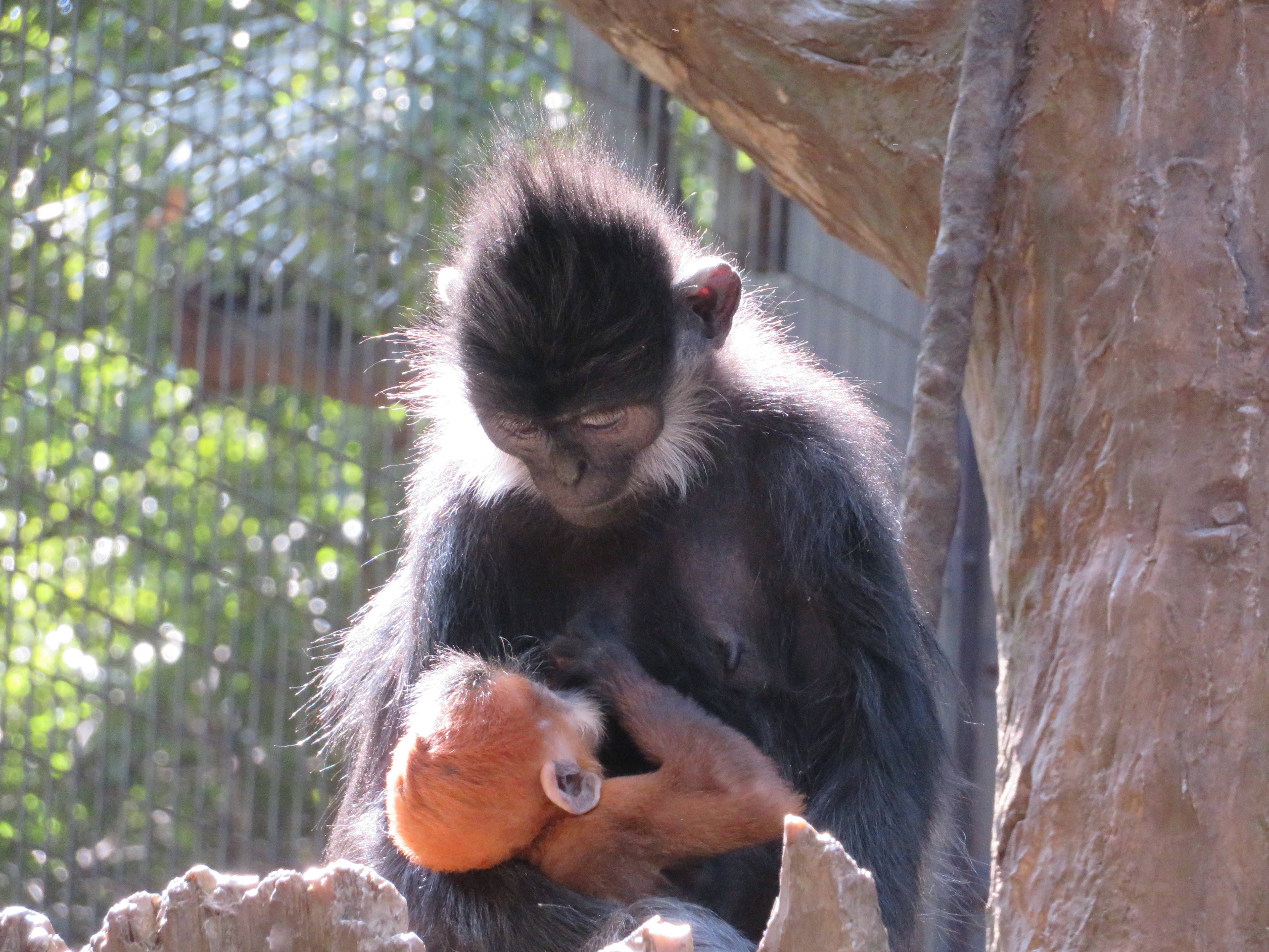 20170318 人間みたい.jpg