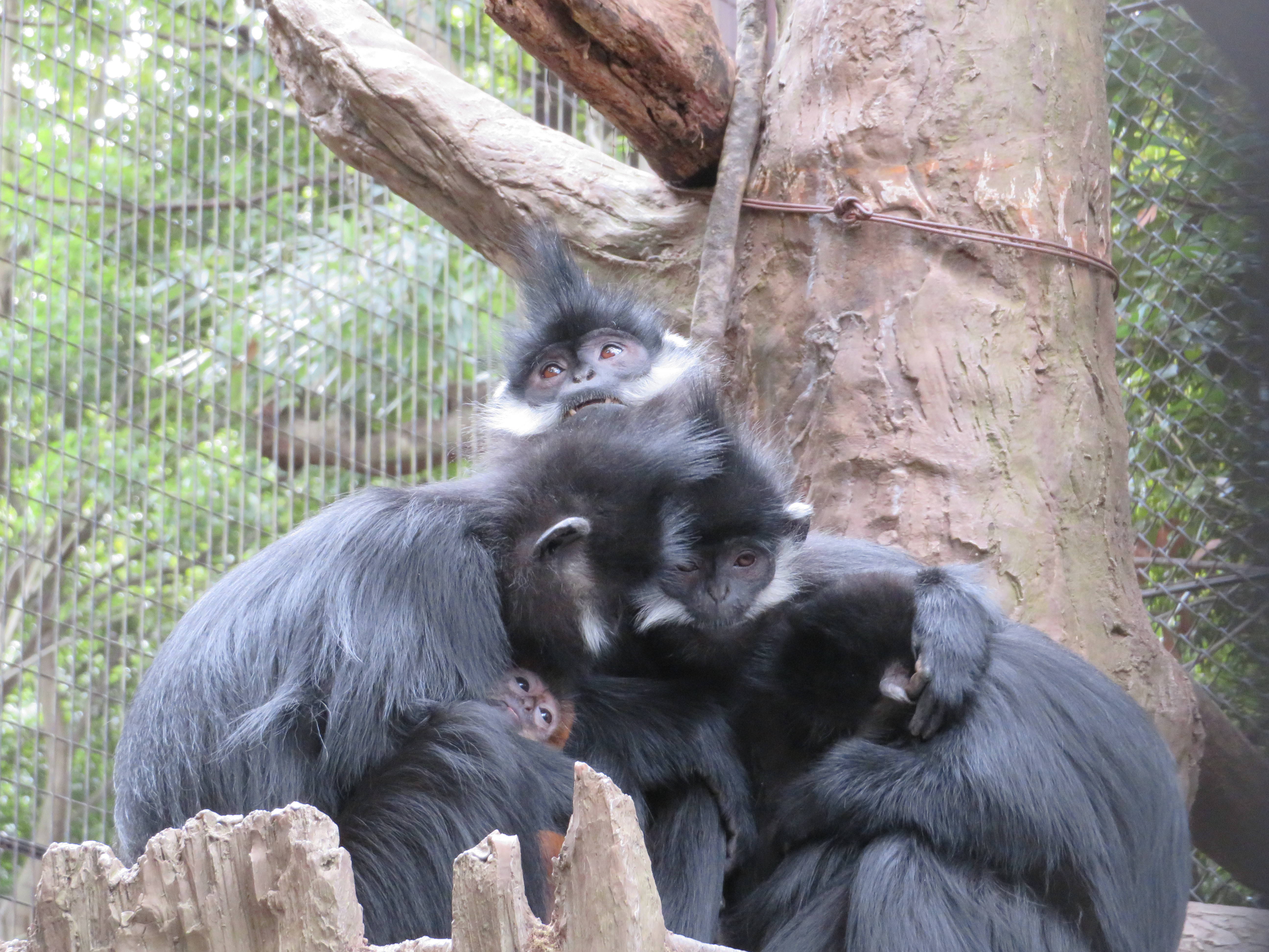 20170605 一緒にいる.jpg