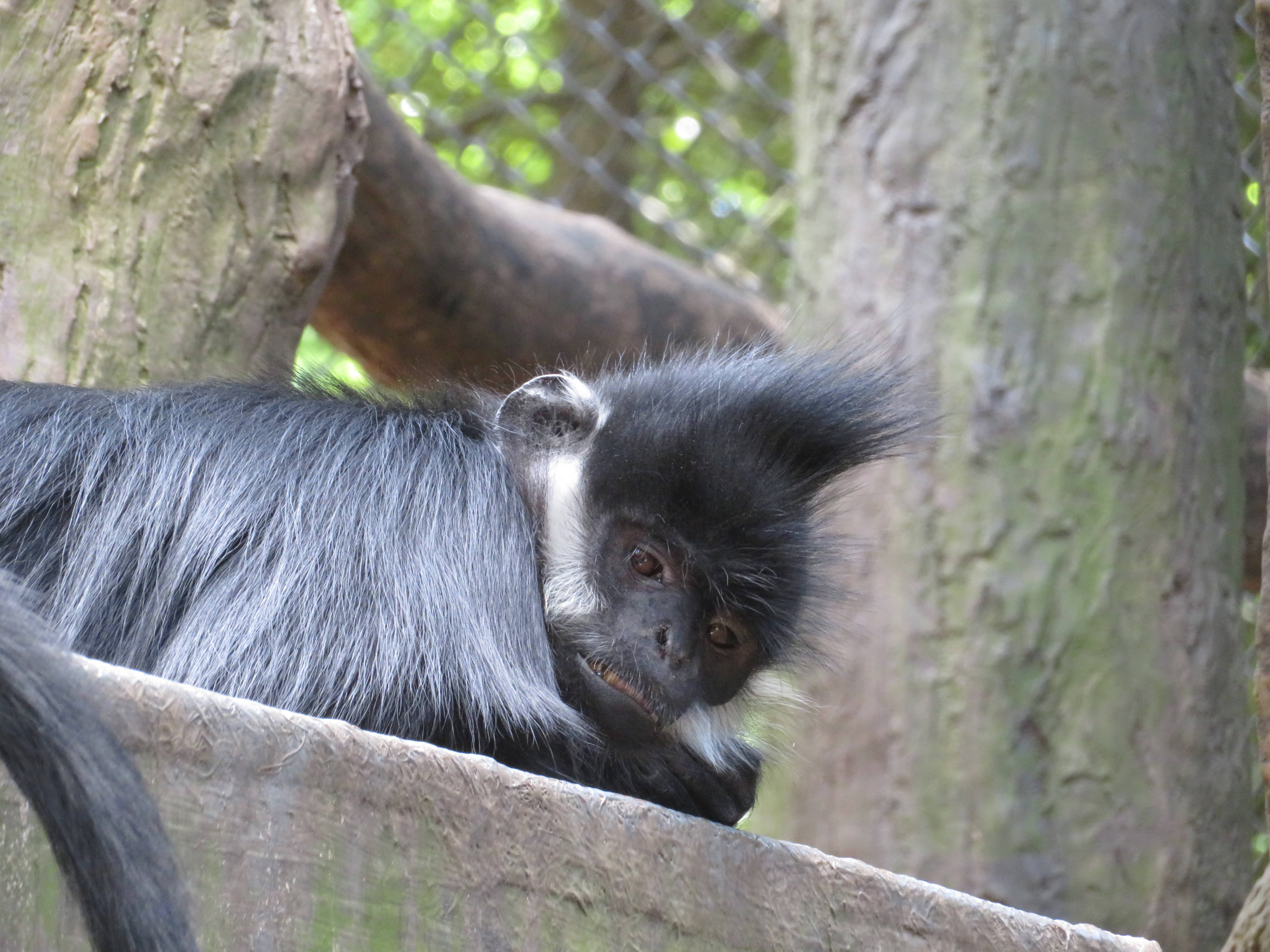 20170605 寝っ転がる.jpg