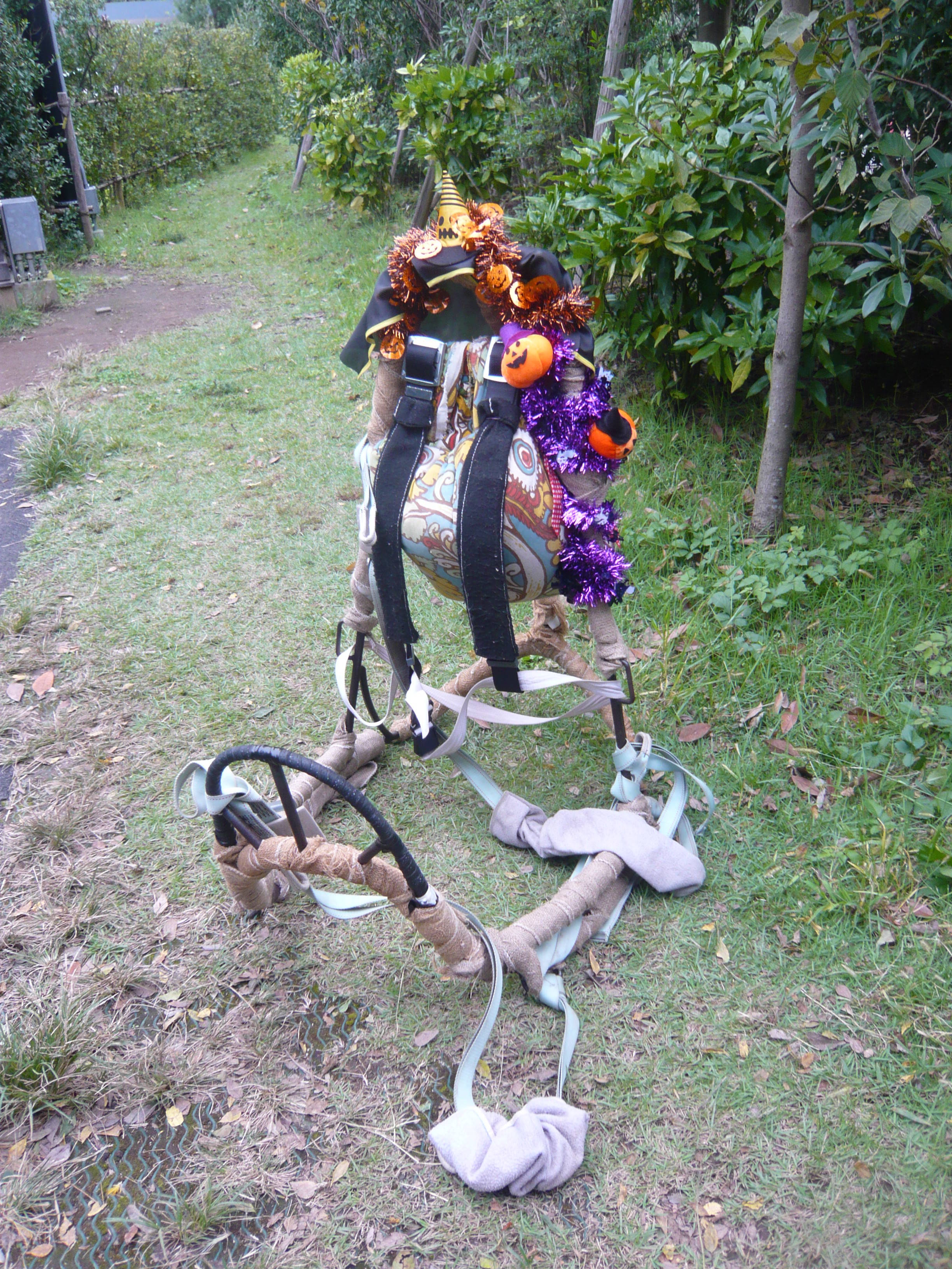 【飼育日誌】20161109ハロウィン・ライド④.jpg